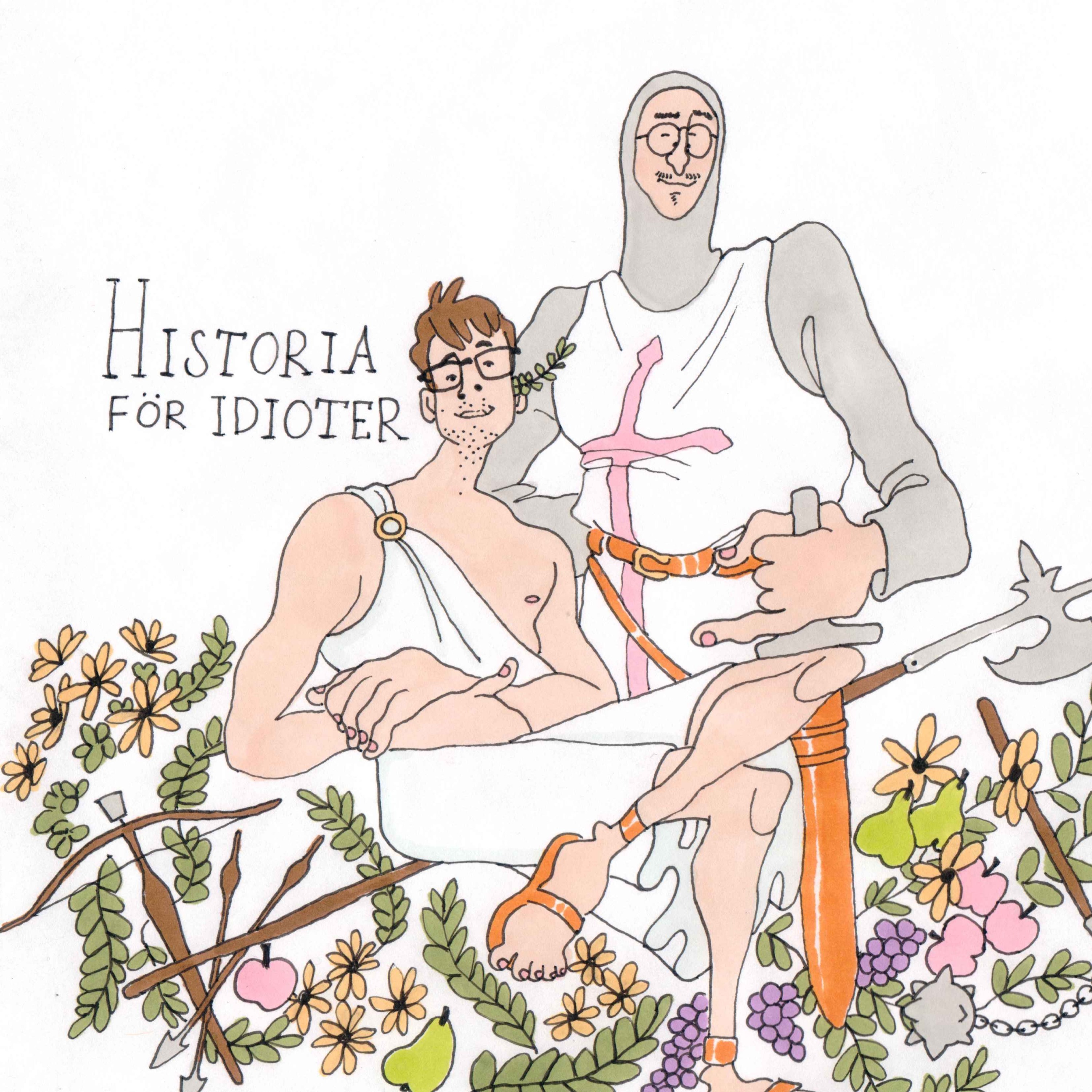 Historia för Idioter