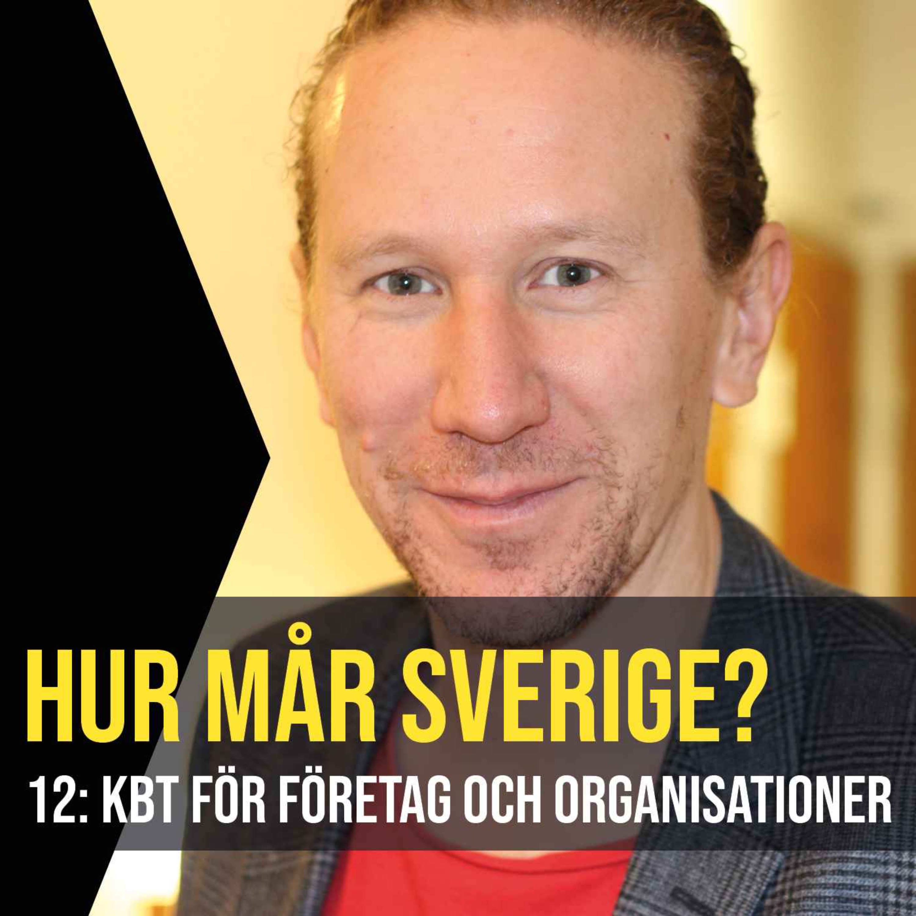 KBT för företag och organisationer med Johan Waara