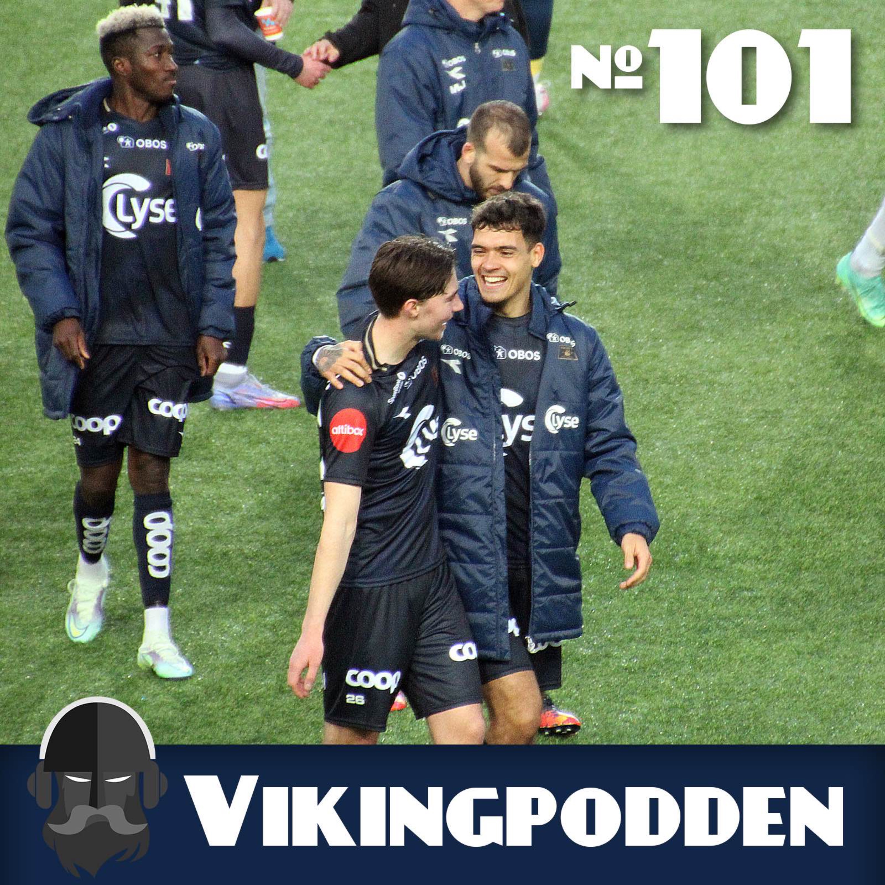 Vikingpodden