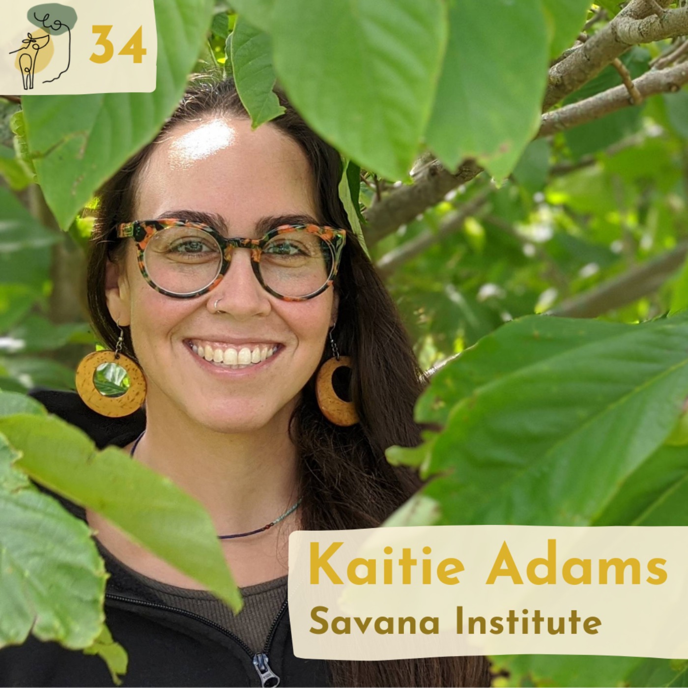 The Regenerative Agroforestry Podcast