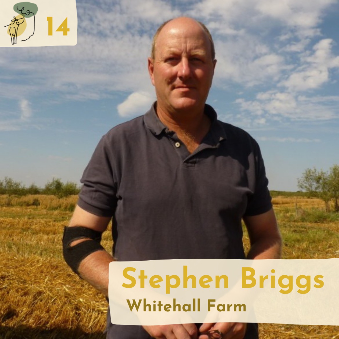 #14 Integrating fruit trees and arable crops with Stephen Briggs