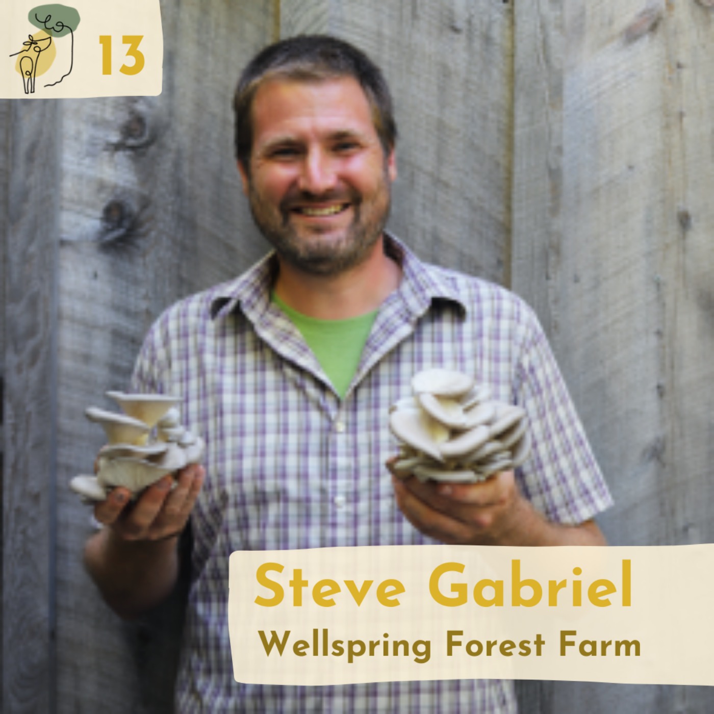 #13 Sheep silvopasture and farm ecology with Steve Gabriel