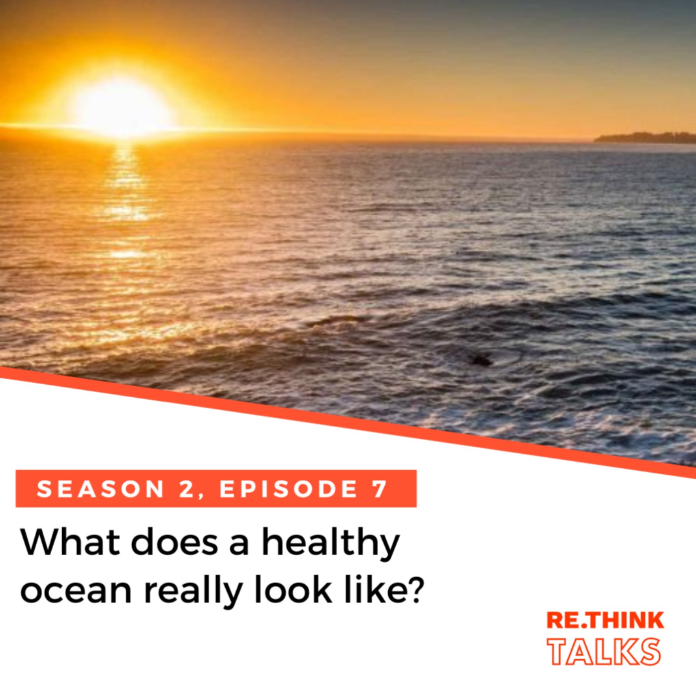 What does a healthy ocean really look like?