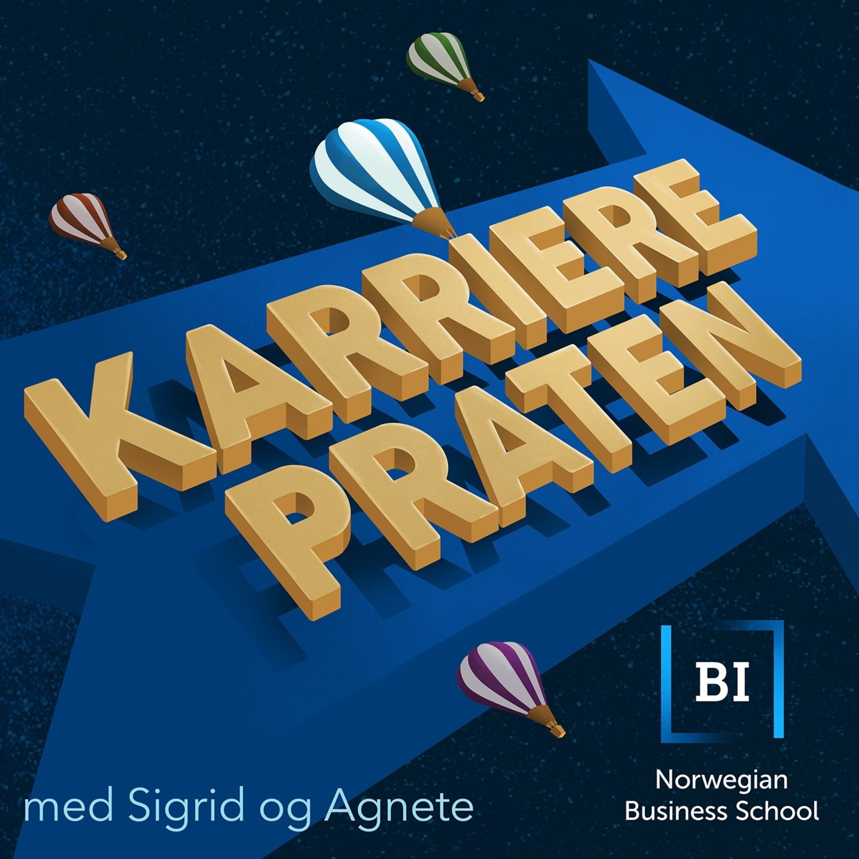 Karrierepraten