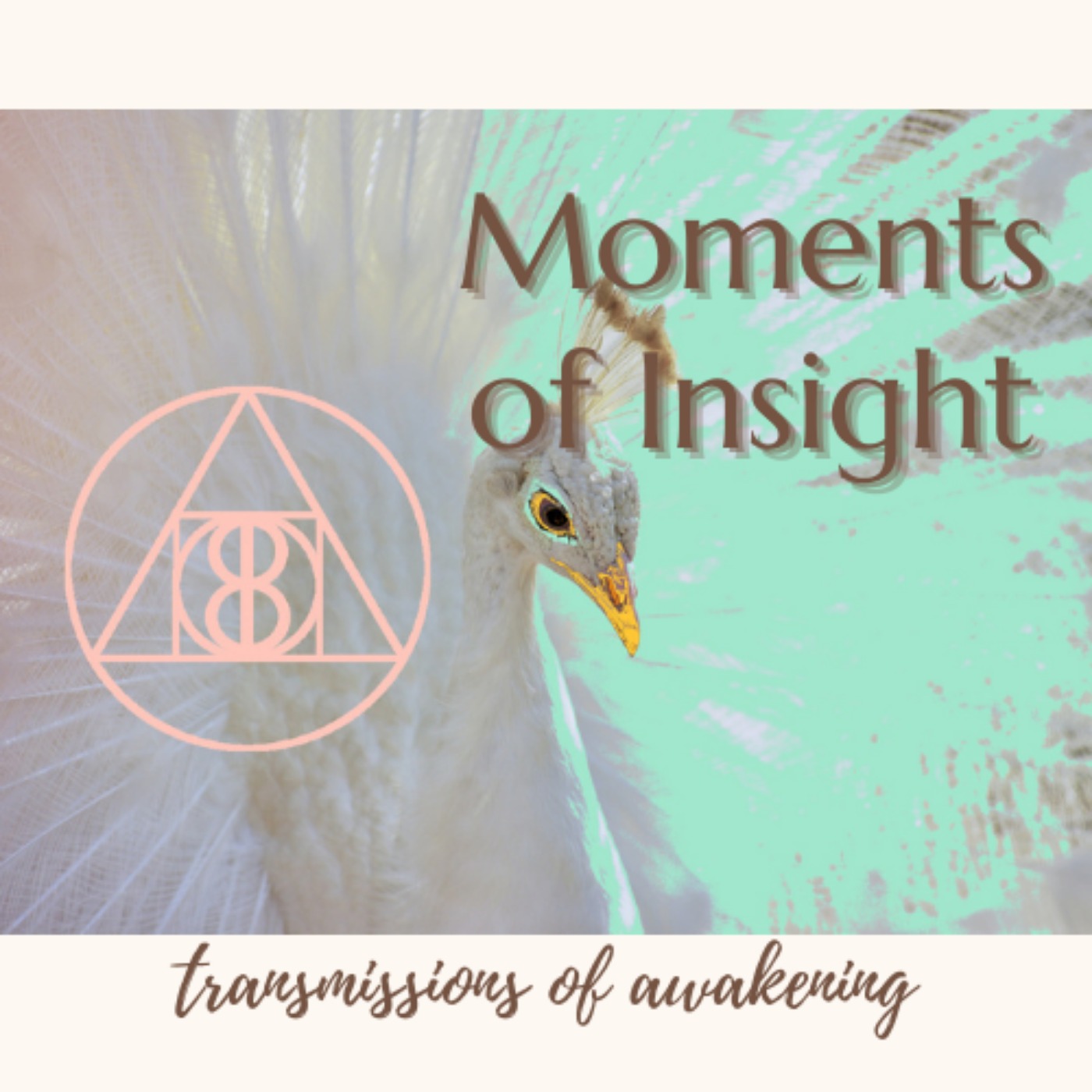 cover art for Moments of Insights - Pt. 4