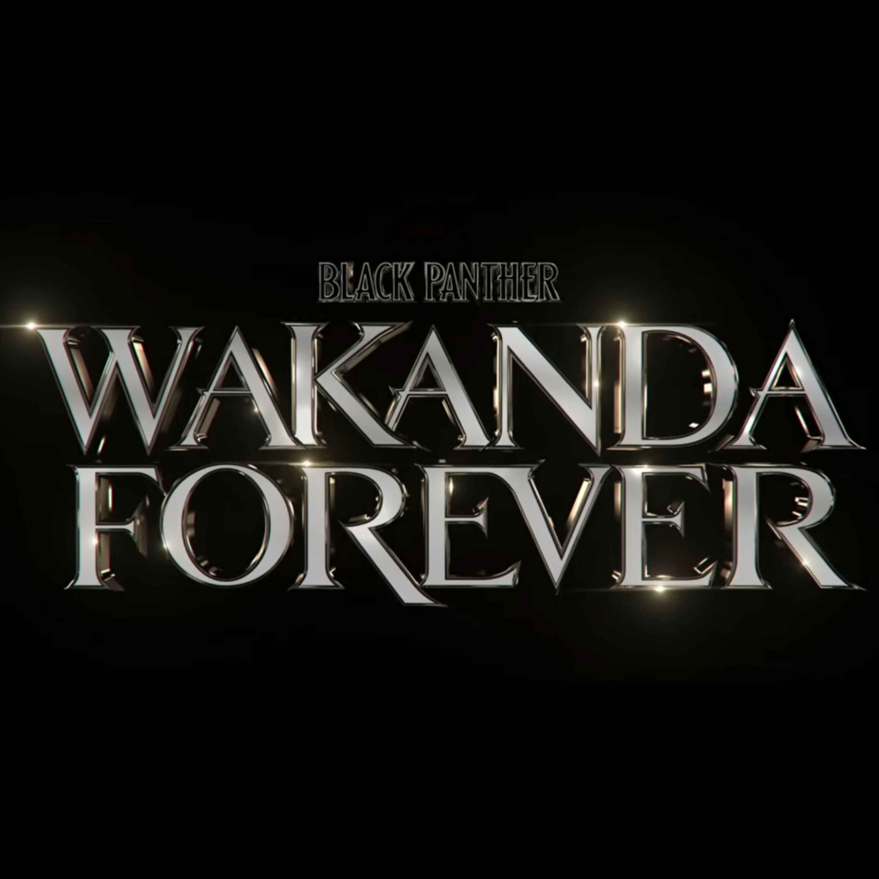 Black Panther Wakanda Forever