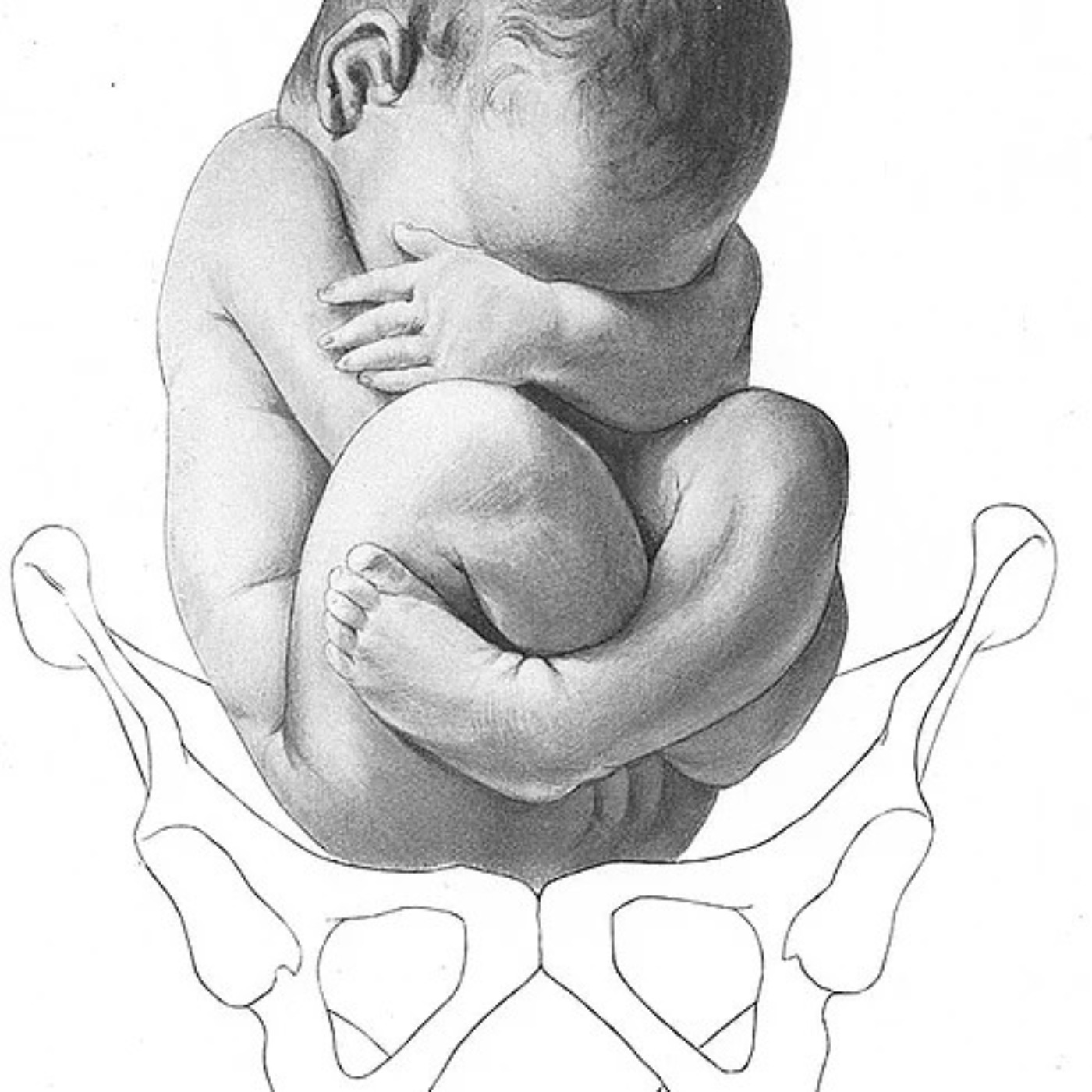 2. Stuitbevalling in een openbare toilet. episode artwork
