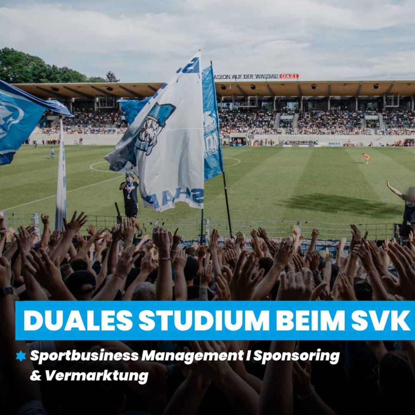 Duales Studium im Bereich Sponsoring & Vermarktung (m/w/d) bei den Stuttgarter Kickers 