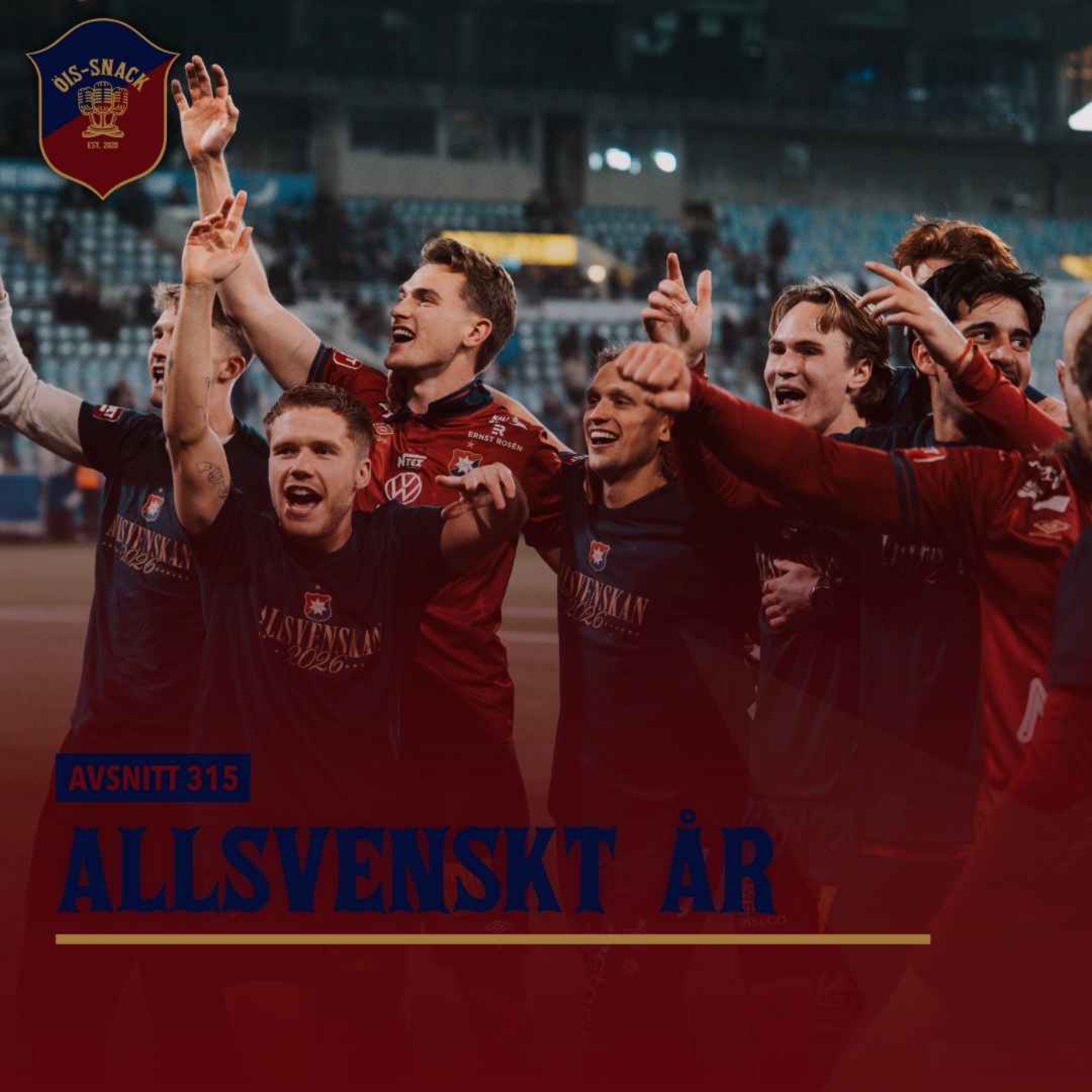 315. Allsvenskt år