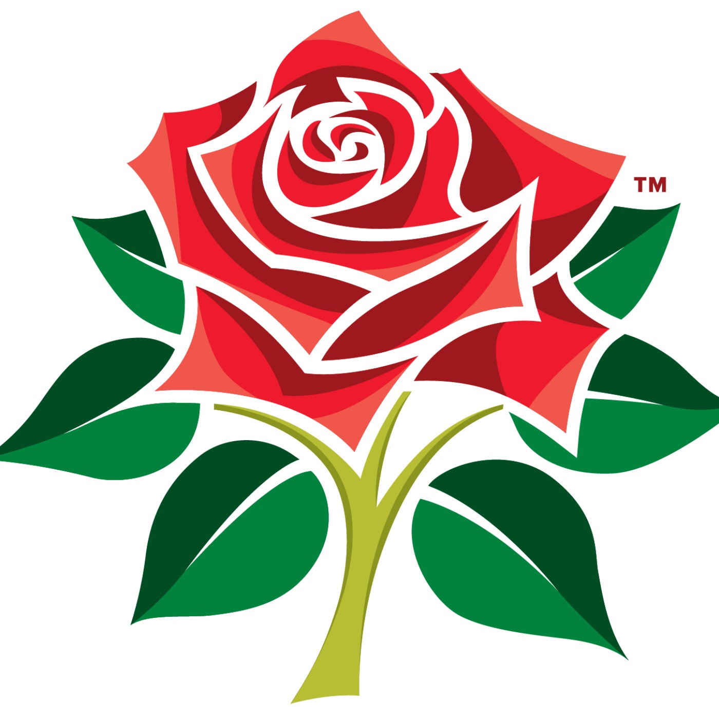 Lancashire County Cricket Club - governance & issues many sports fans will be familiar with