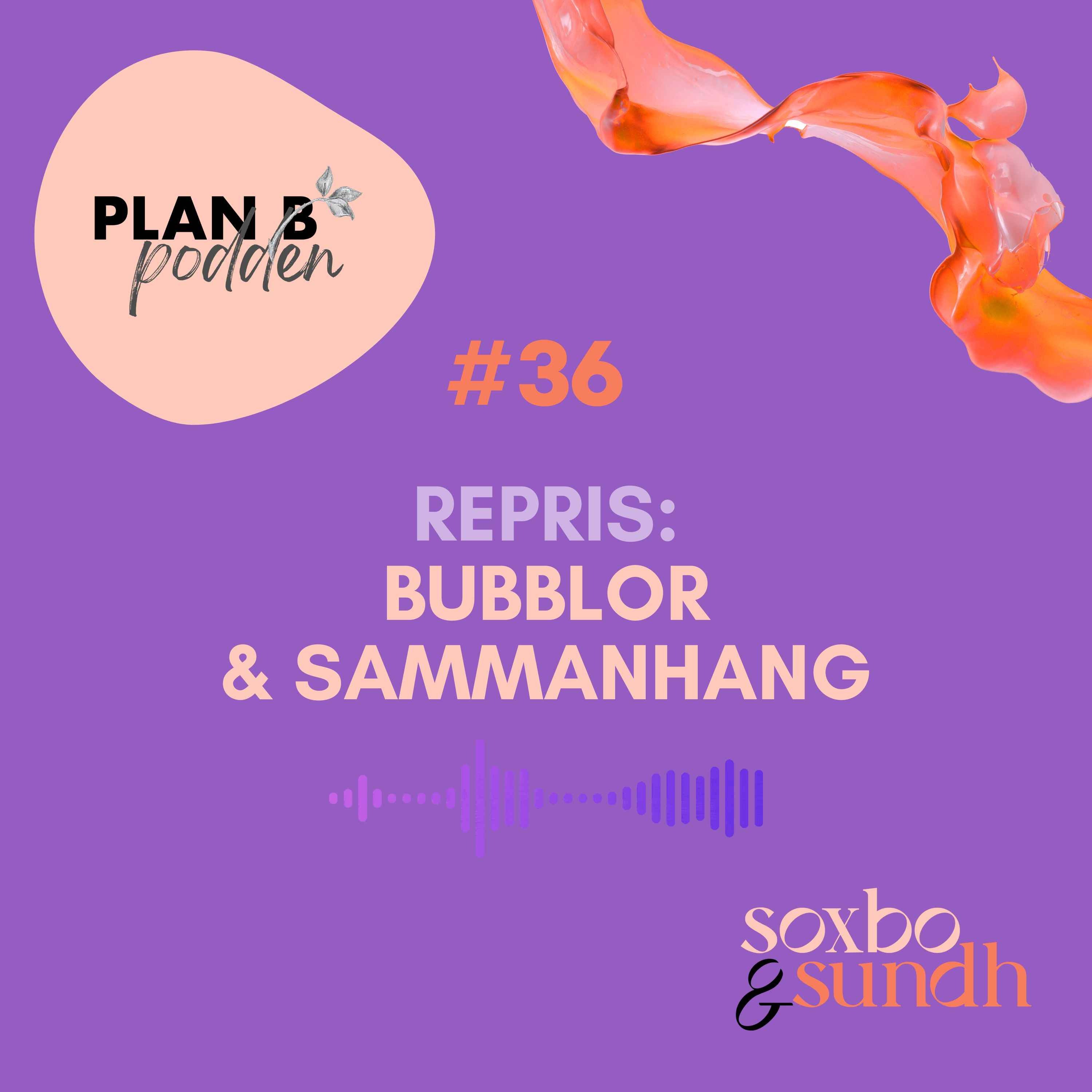 #36 Sommarrepris: Bubblor & sammanhang