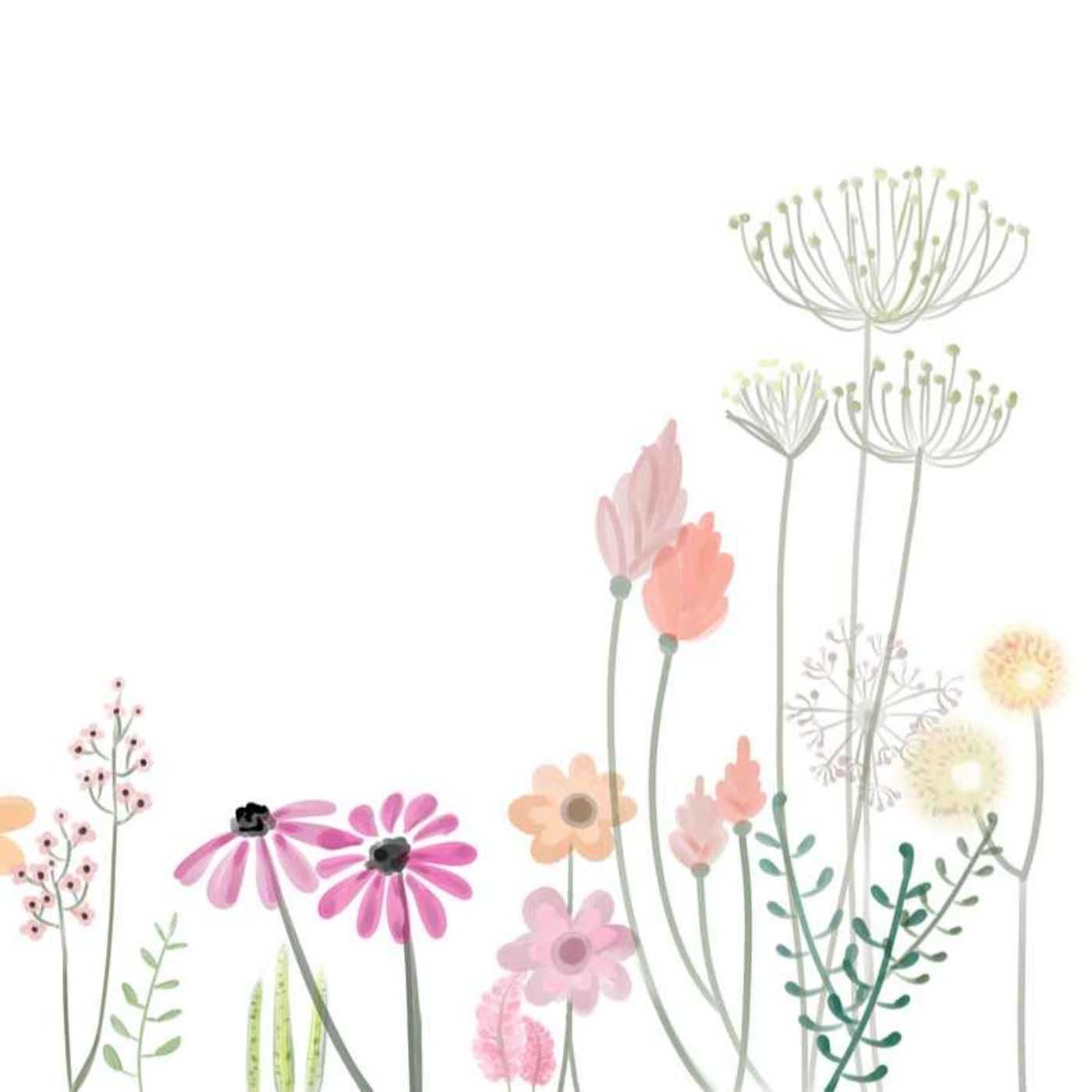 cover art for Les plantes et les fleurs