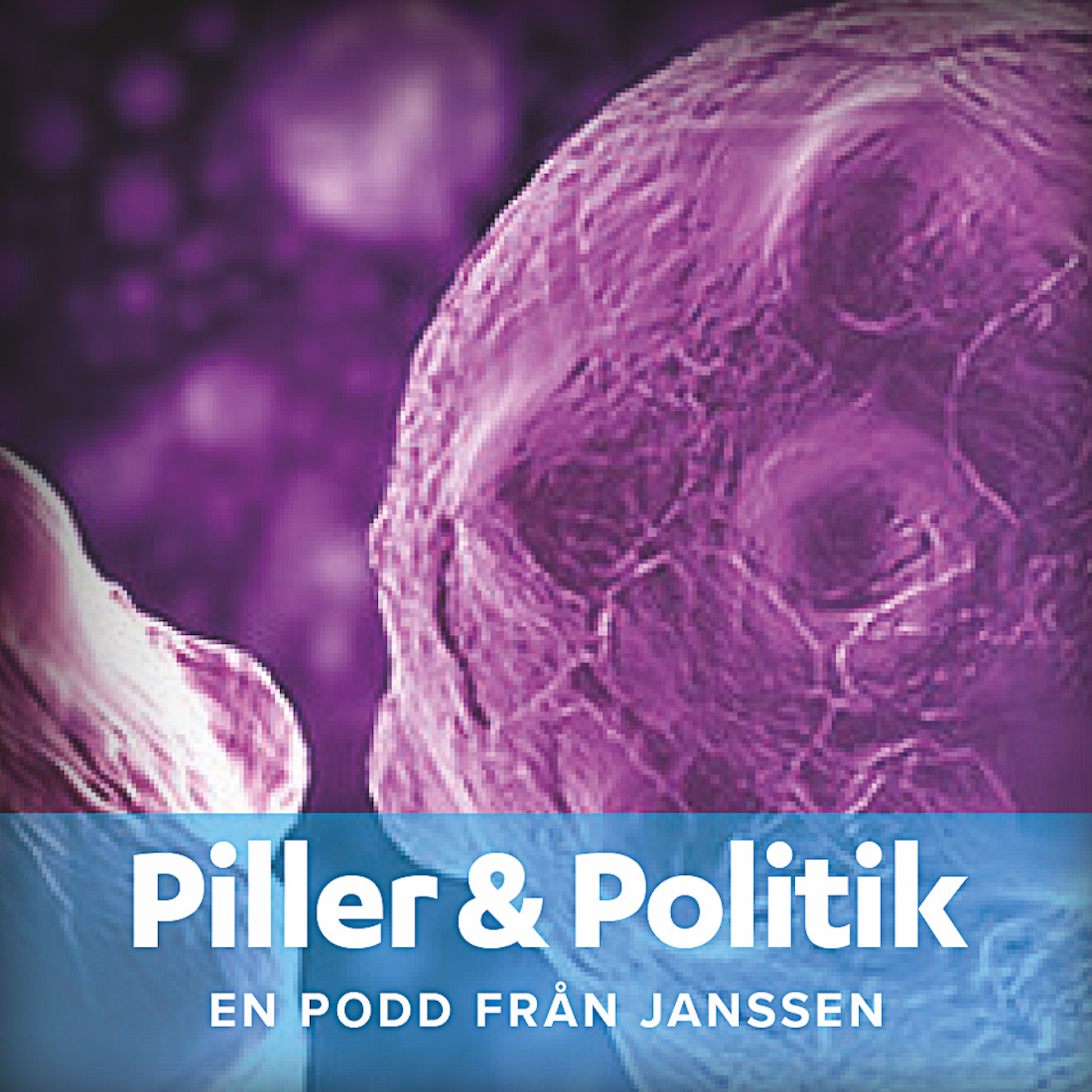 Piller och politik