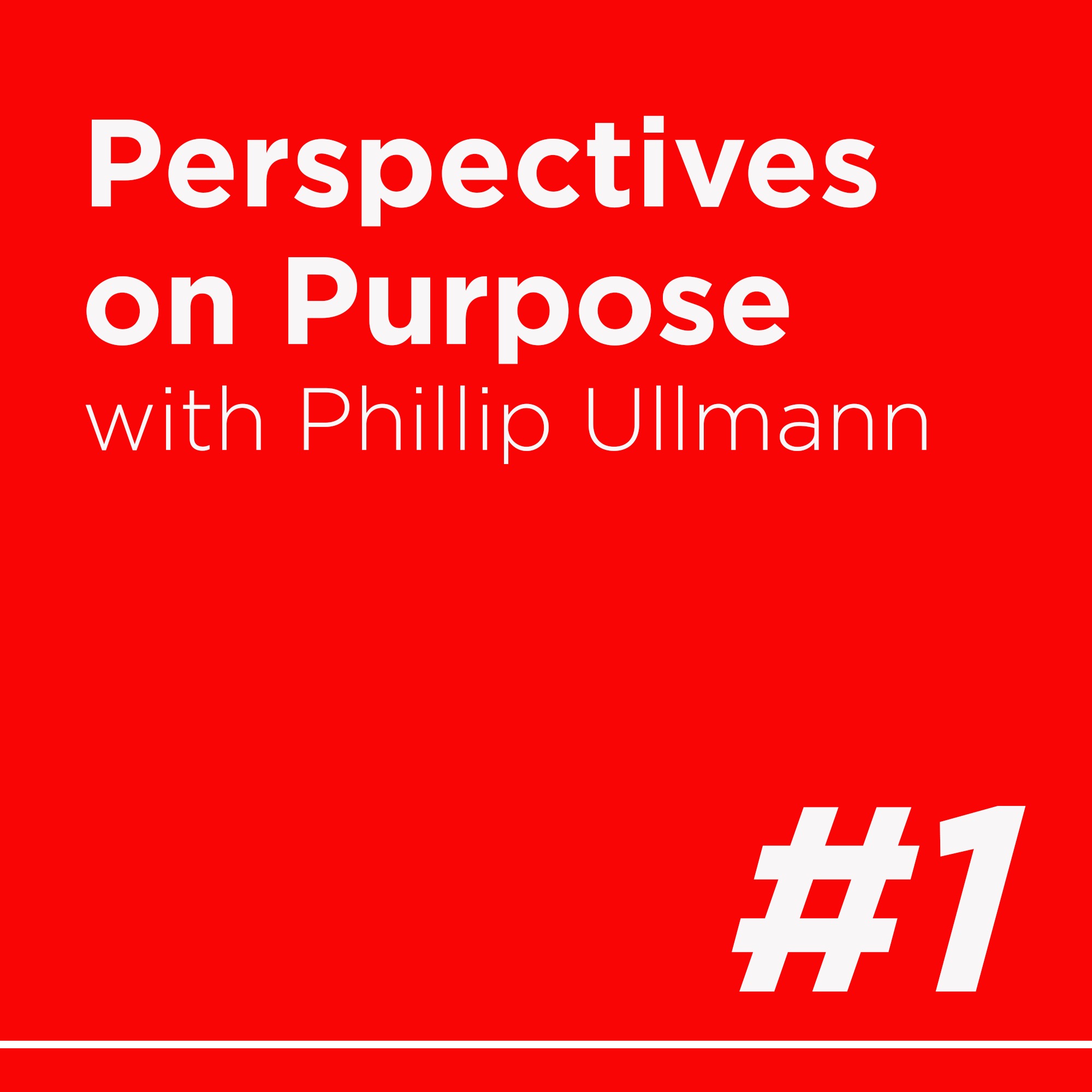 Perspectives on Purpose