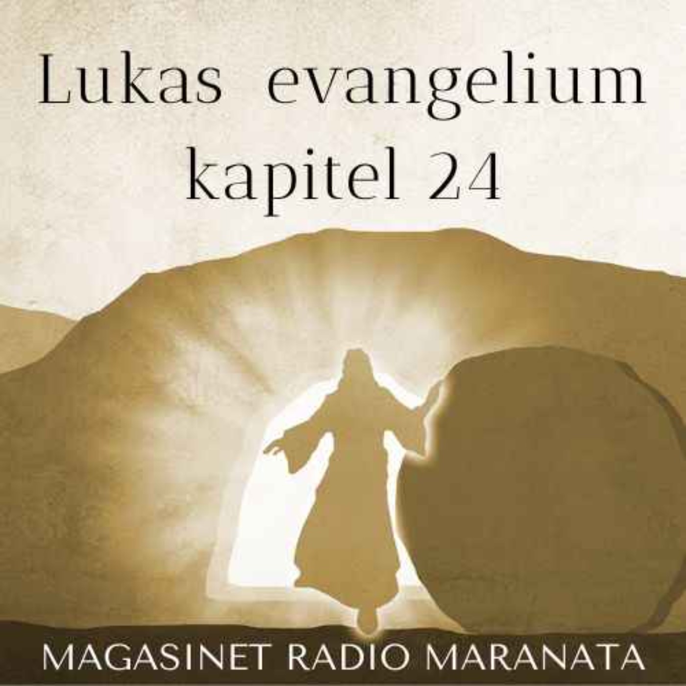cover art for Lukas evangelium 24