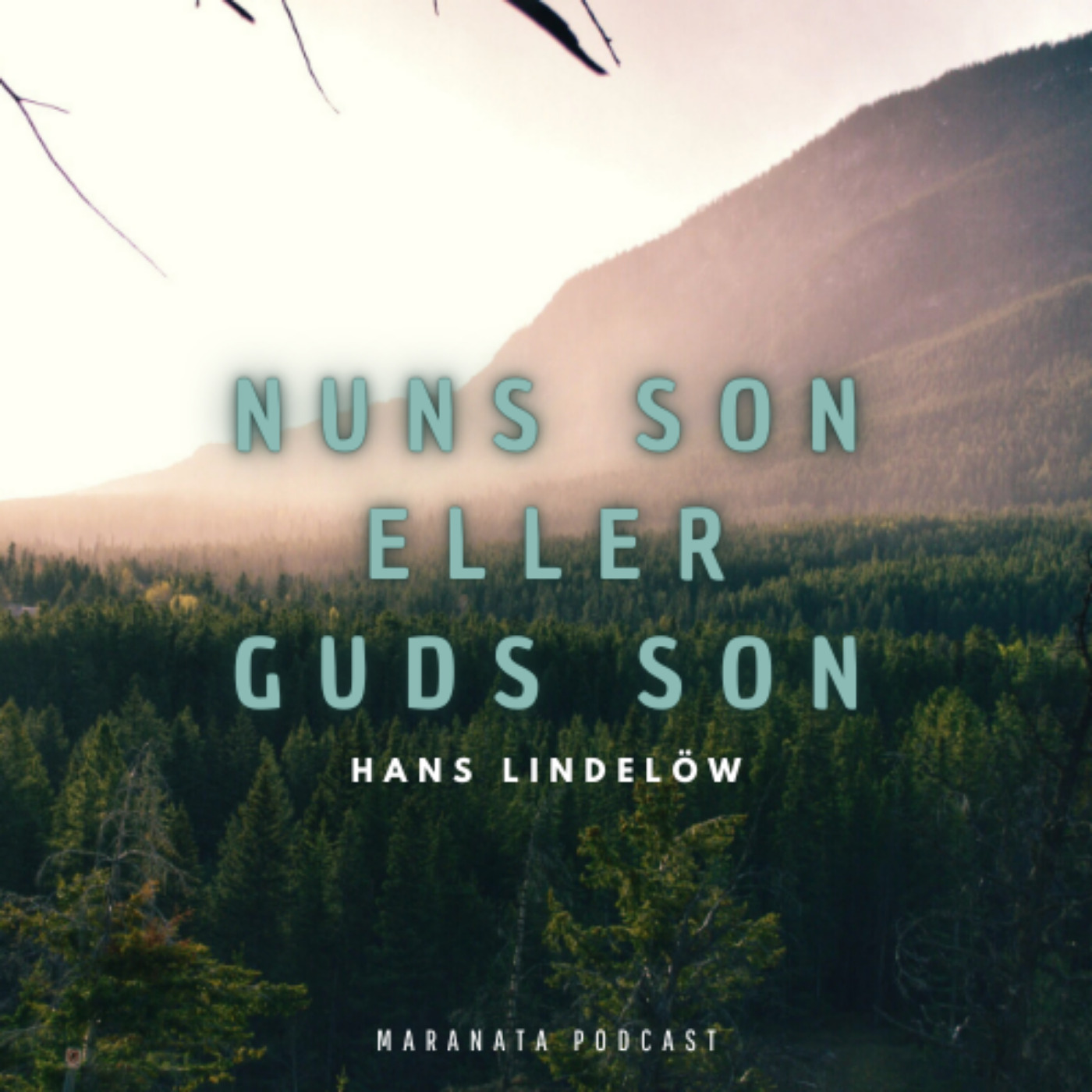 cover art for Nuns son eller Guds Son