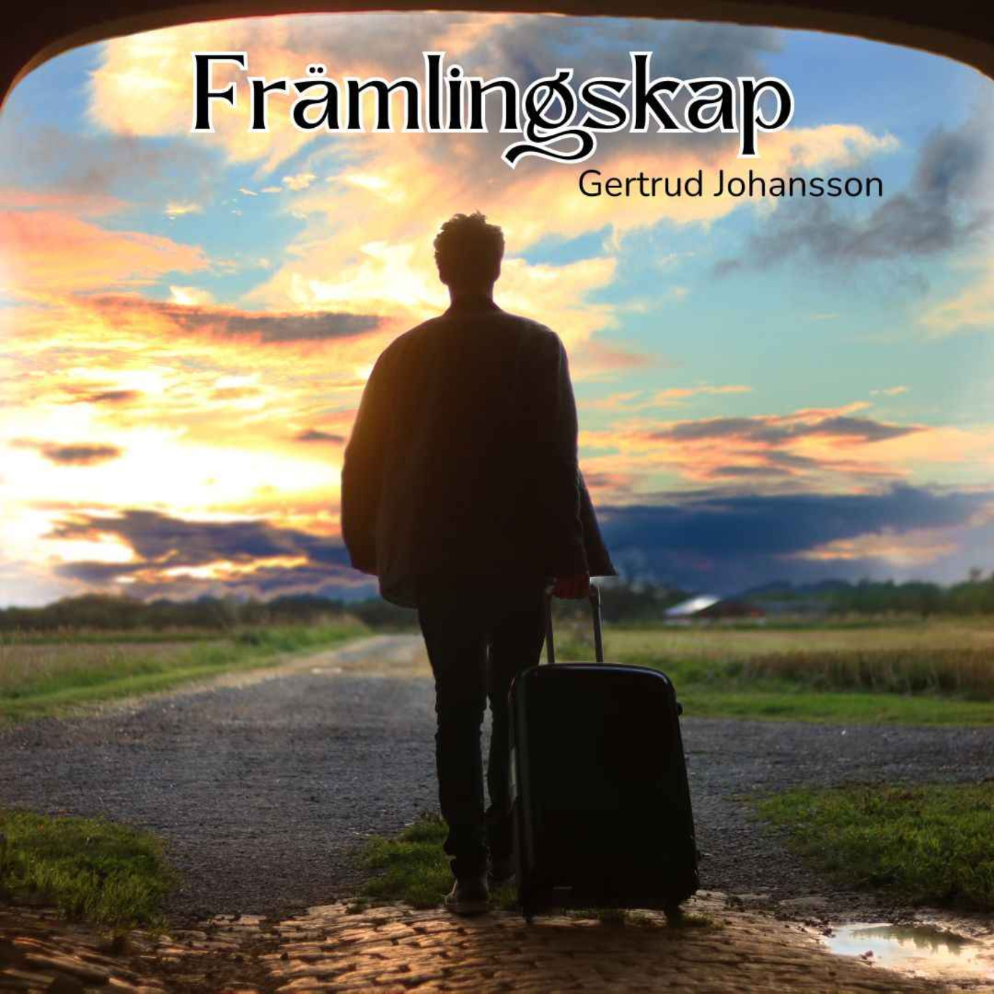 cover art for Främlingskap