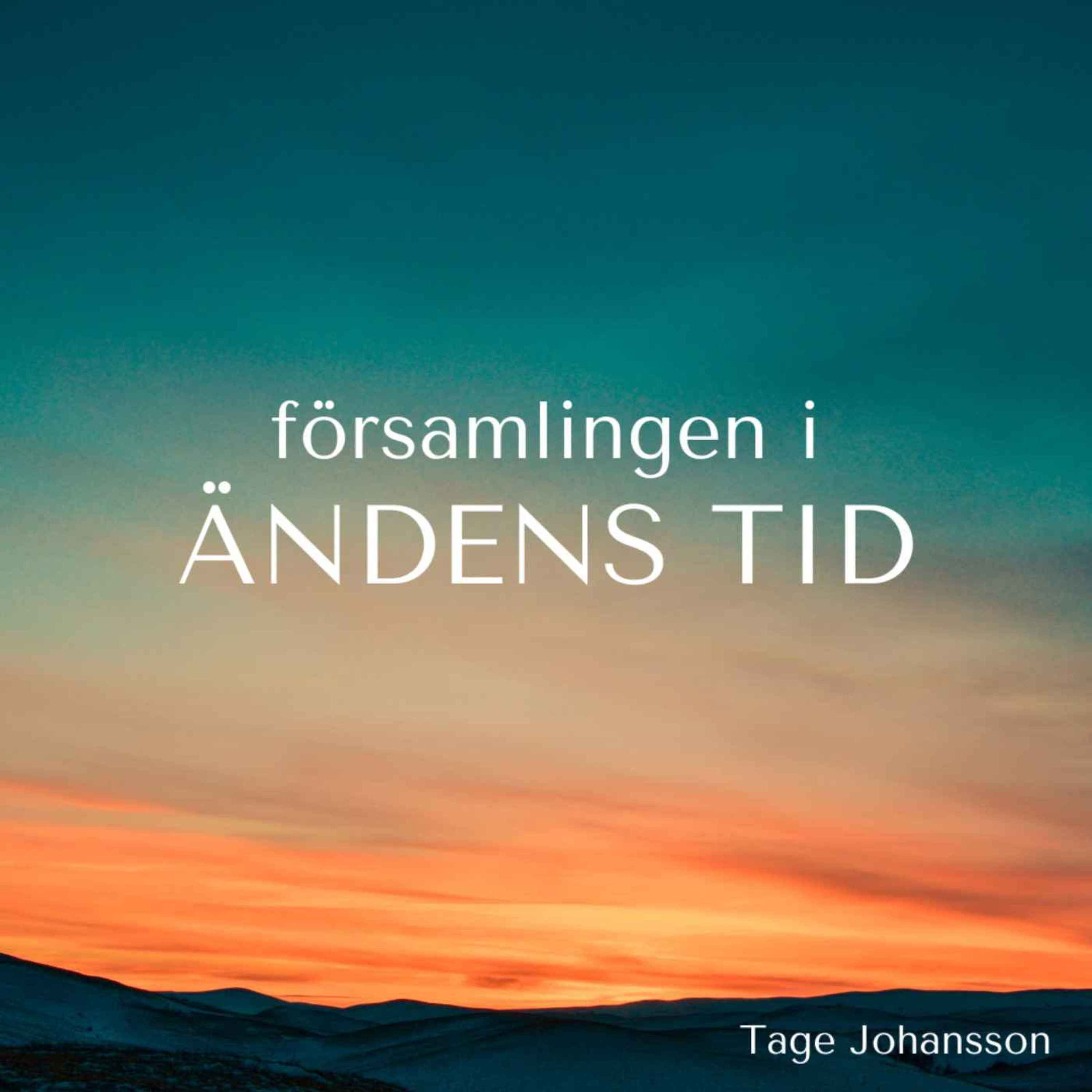 cover art for Församlingen i ändens tid, del 3