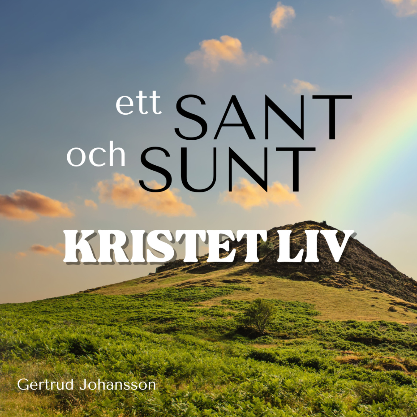 cover art for Ett sant och sunt kristet liv