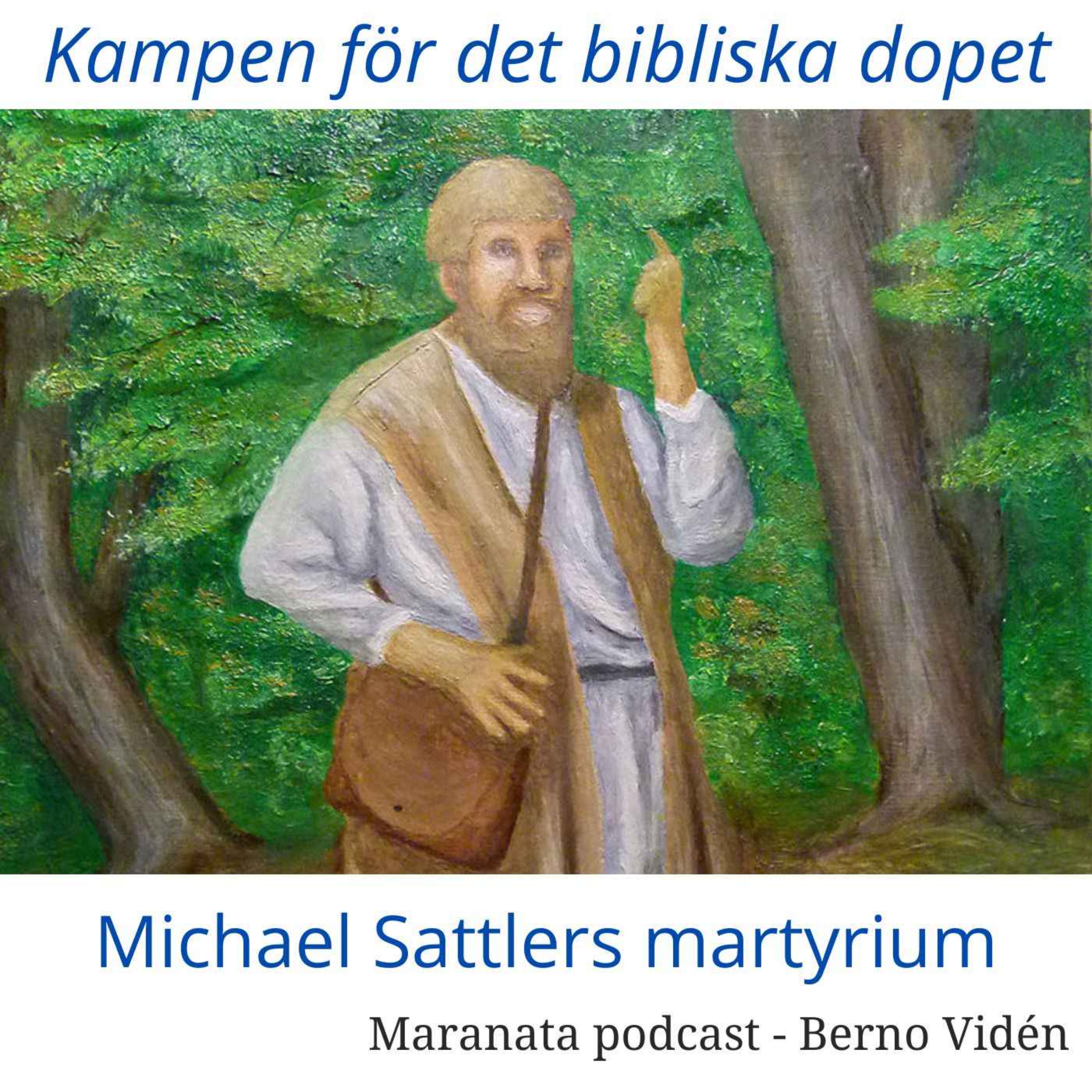 cover art for Kampen för det bibliska dopet - Sattler