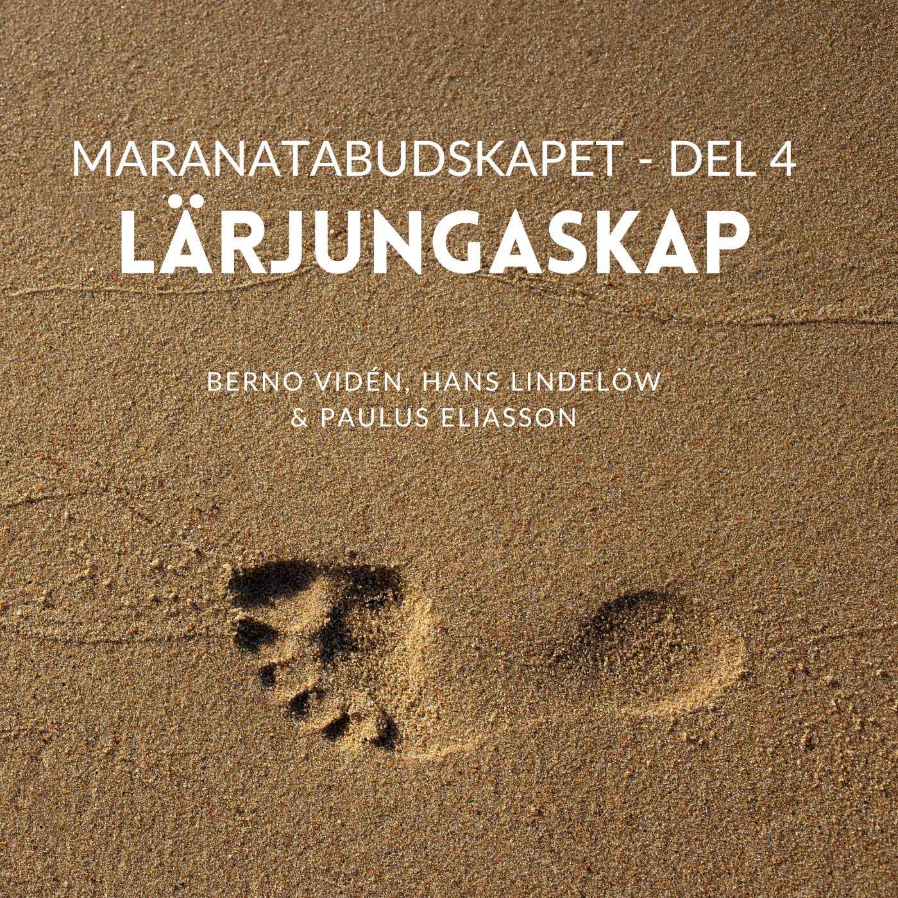 cover art for Lärjungaskap (Maranatabudskapet, del 4)