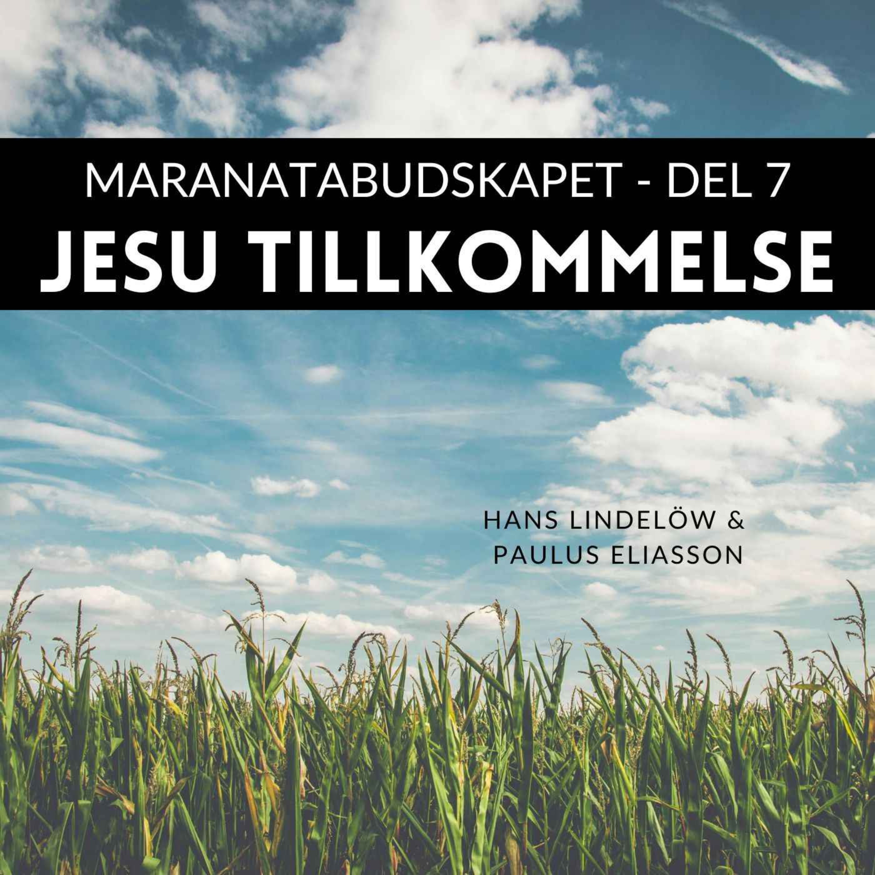 cover art for Jesu tillkommelse (Maranatabudskapet, del 7)