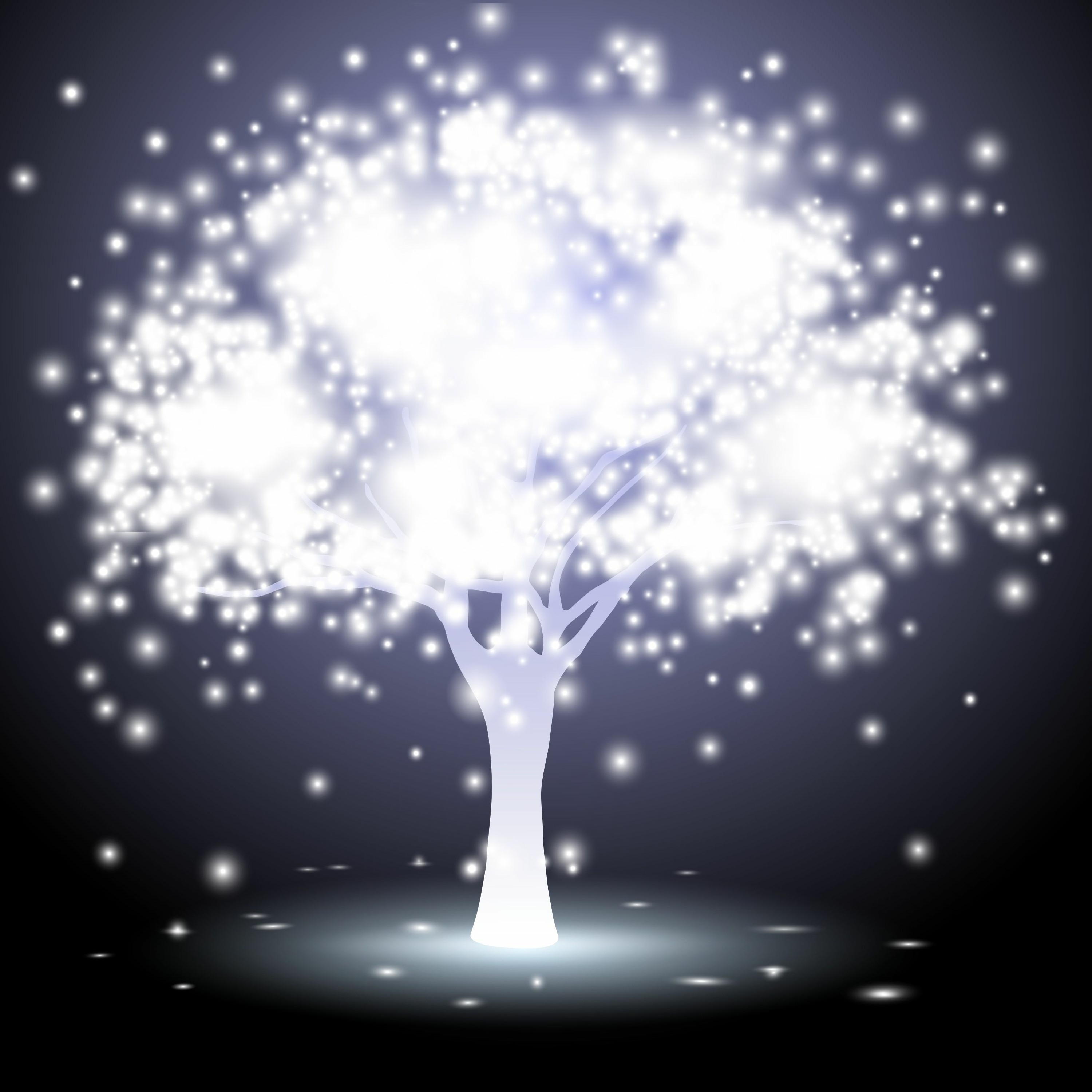 Family of Light Transmission: You Are Not Alone. You Are Not Unloved. Connect to Your Star Tribe episode artwork