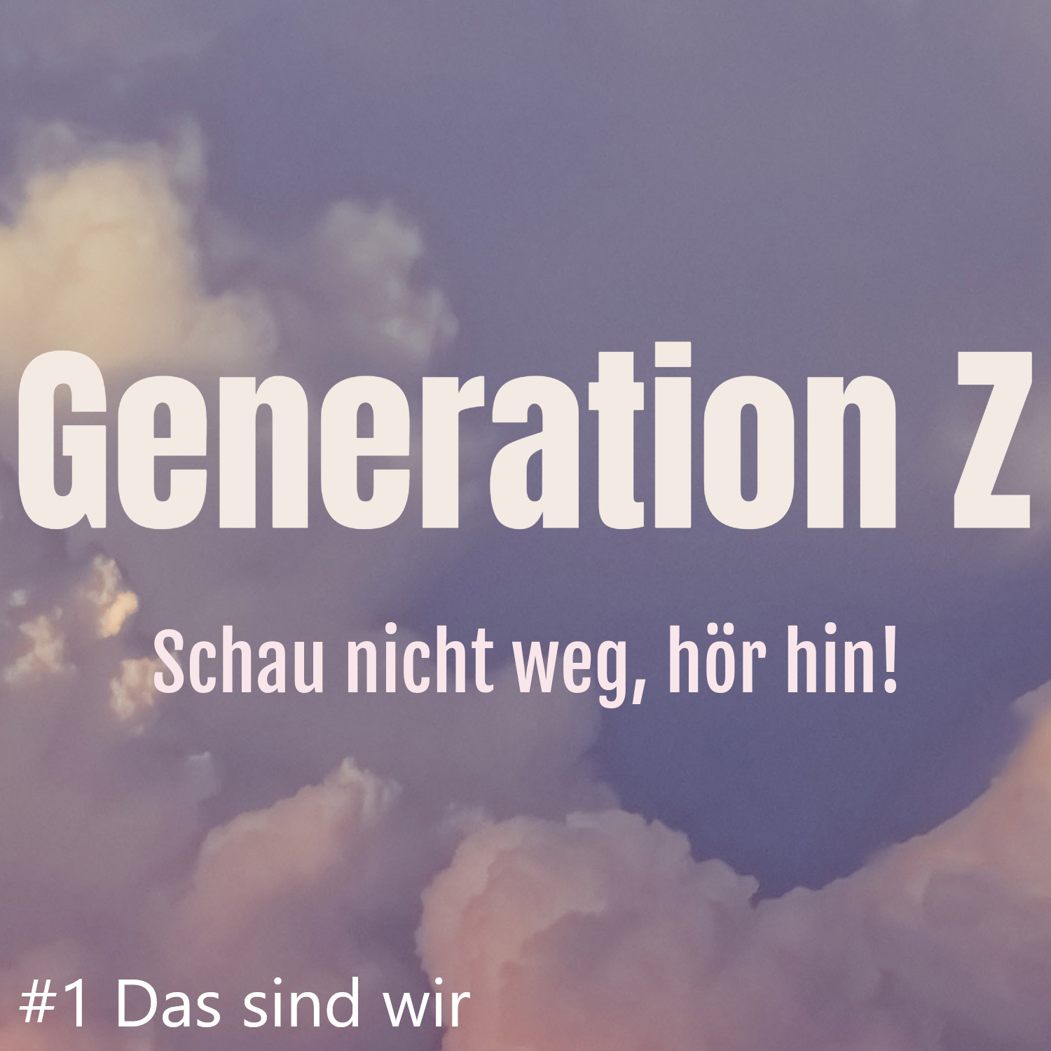 DAS SIND WIR visual data 6