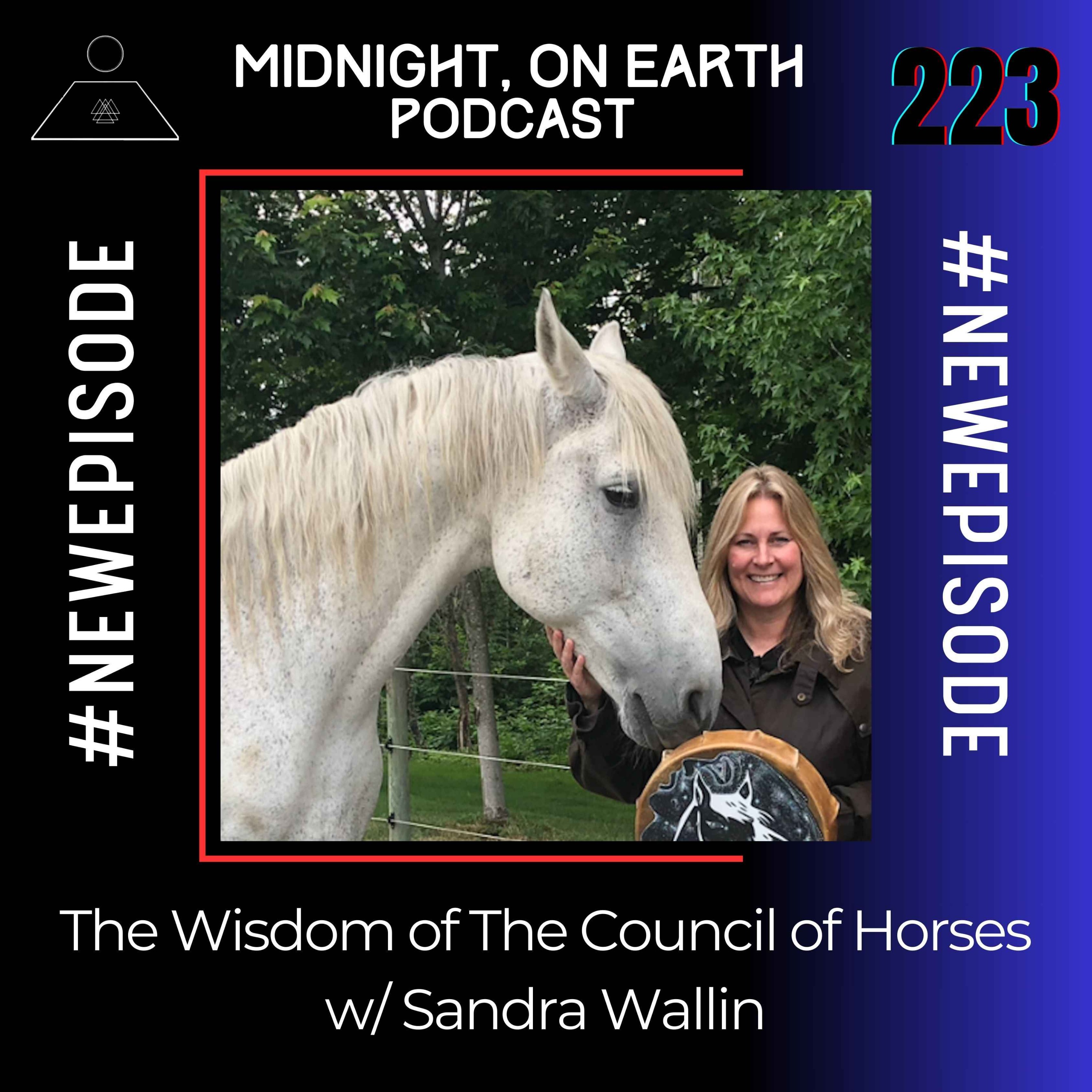 Episode 223 - Thw Wisdom of The Council of Horses w/ Sandra Wallin