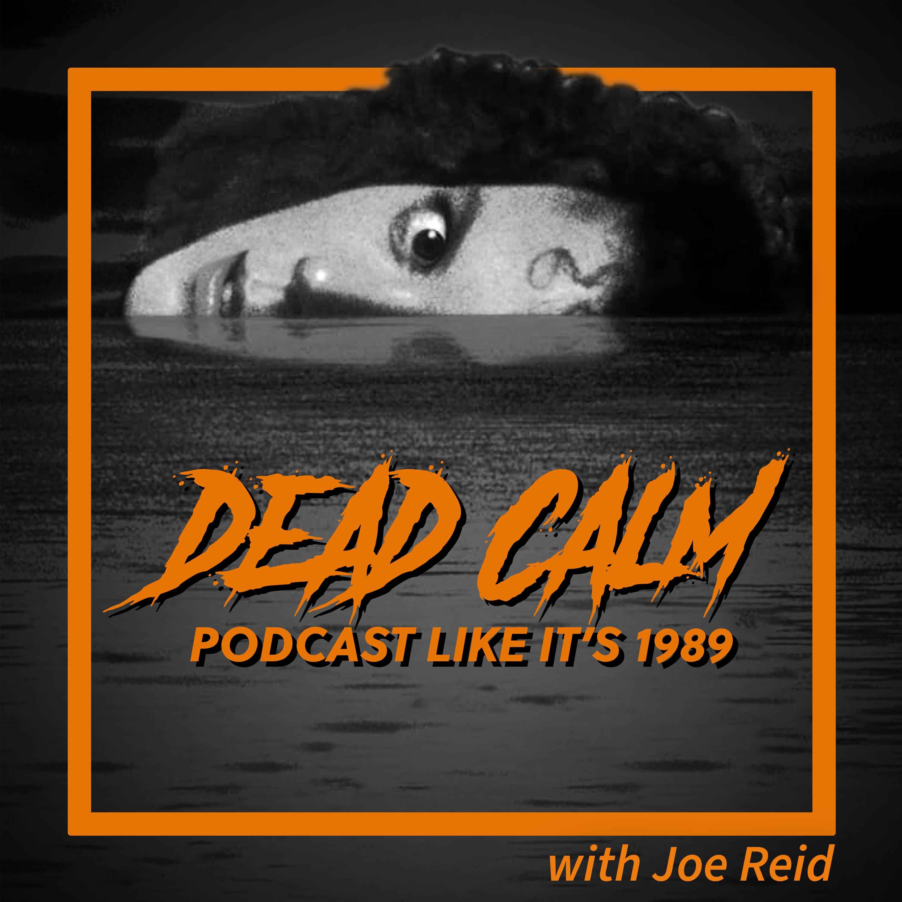 cover art for 1989: Dead Calm with Joe Reid