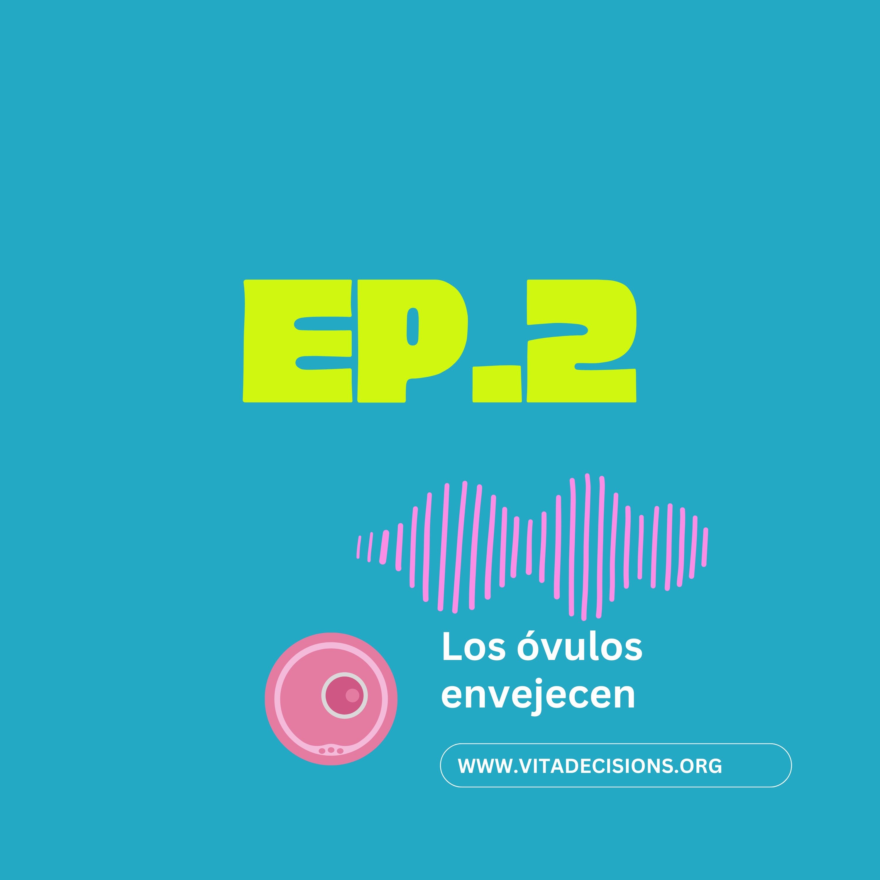 Portada de DECIDE