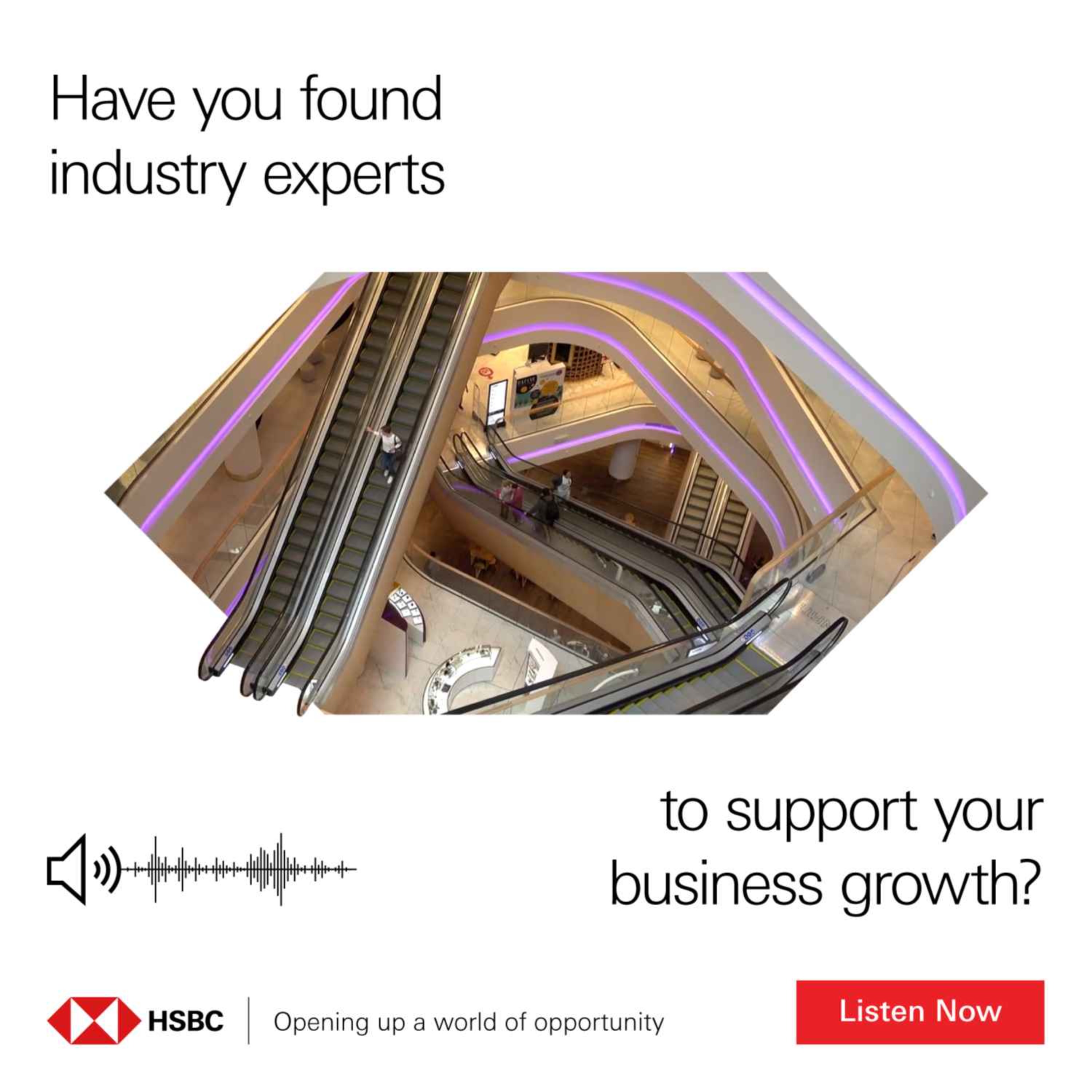 cover art for MELCO-MEC Egypt: Growing Business with HSBC's Financial and Digital Support