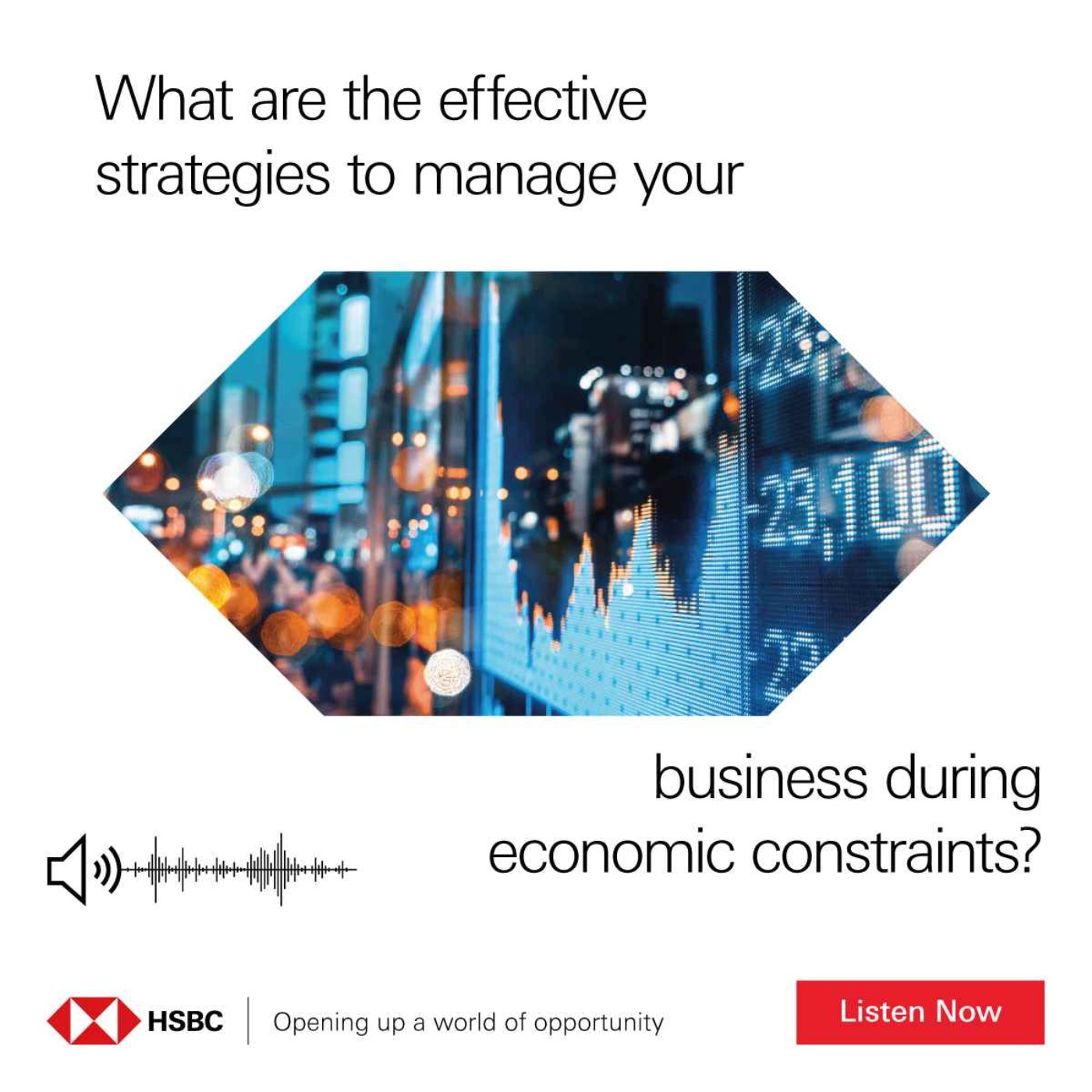 cover art for Managing Your Business in Times of Inflation: Strategies and Solutions
