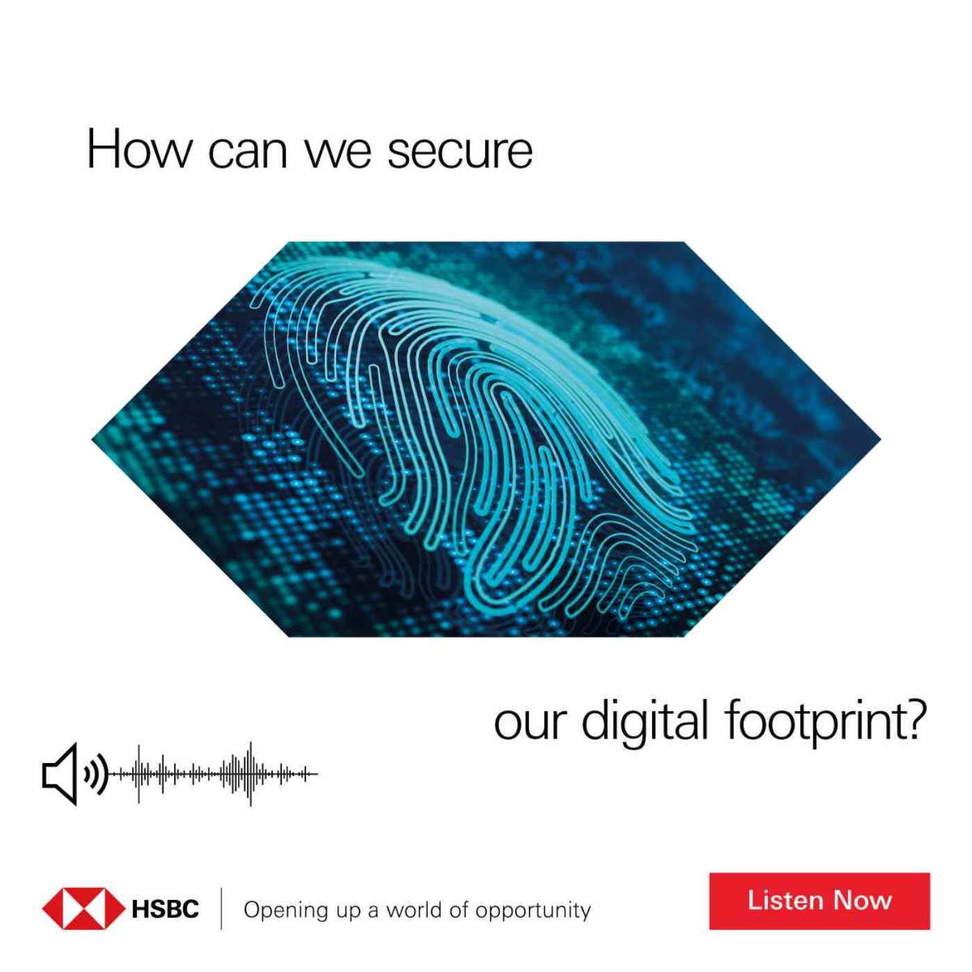 cover art for Safeguarding Your Digital Footprint: Enhancing Privacy and Security