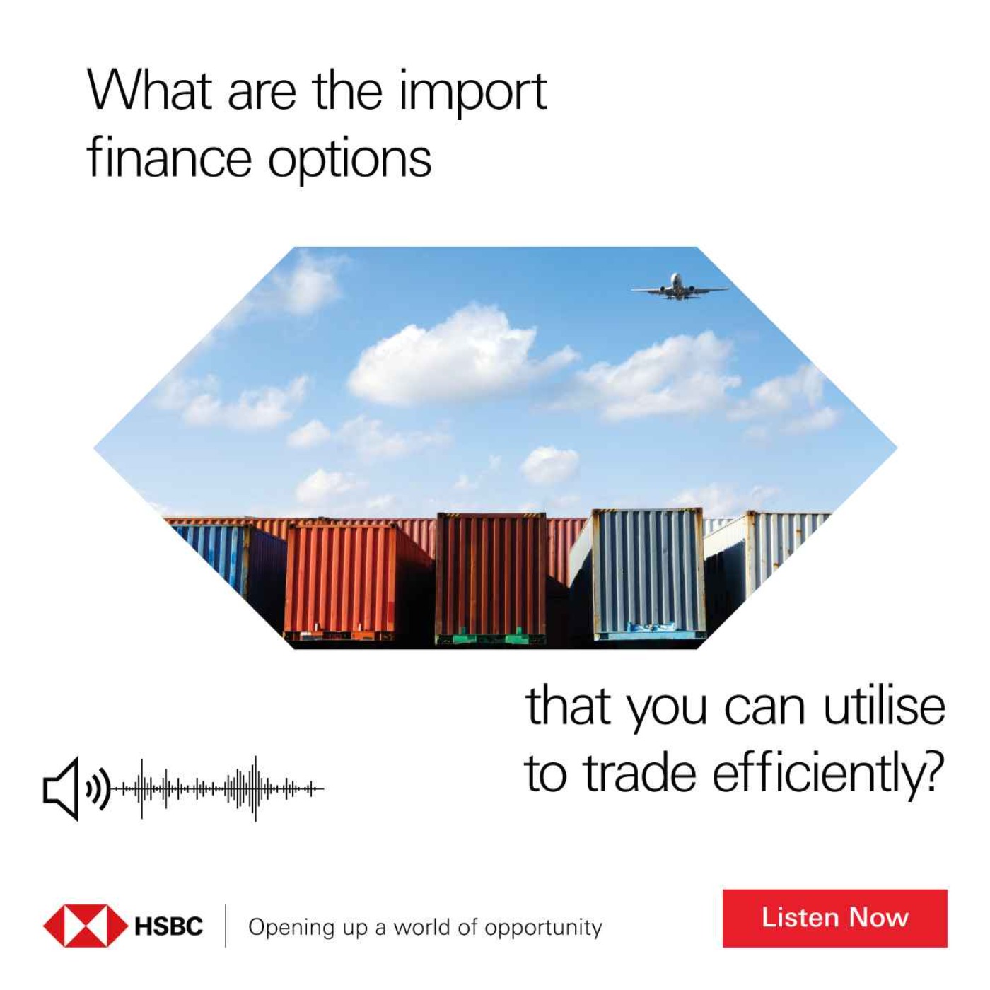cover art for Trade Academy: Comprehensive Guide to Import Finance