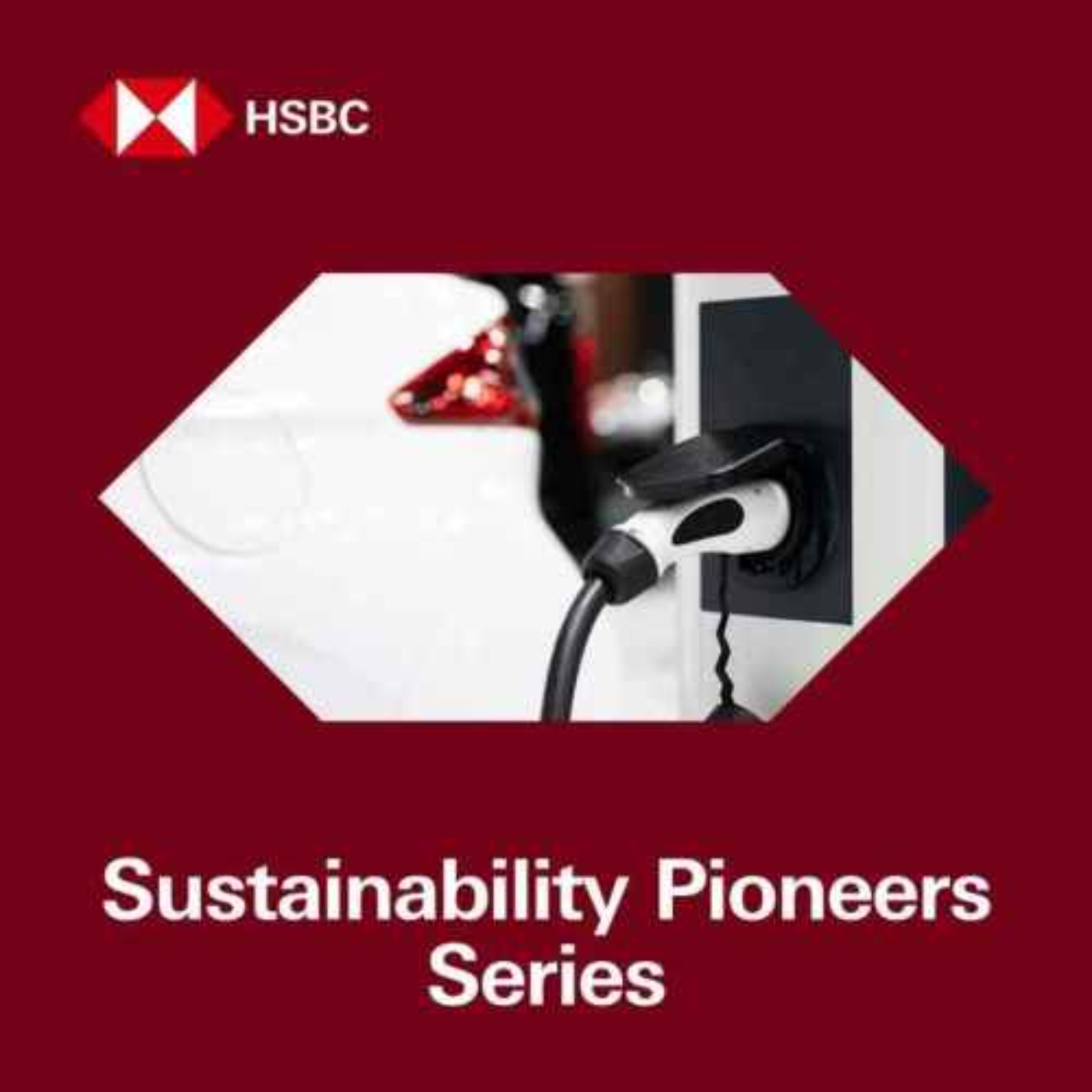 cover art for Sustainability Pioneers: Growth in the EV market with Blink Charging