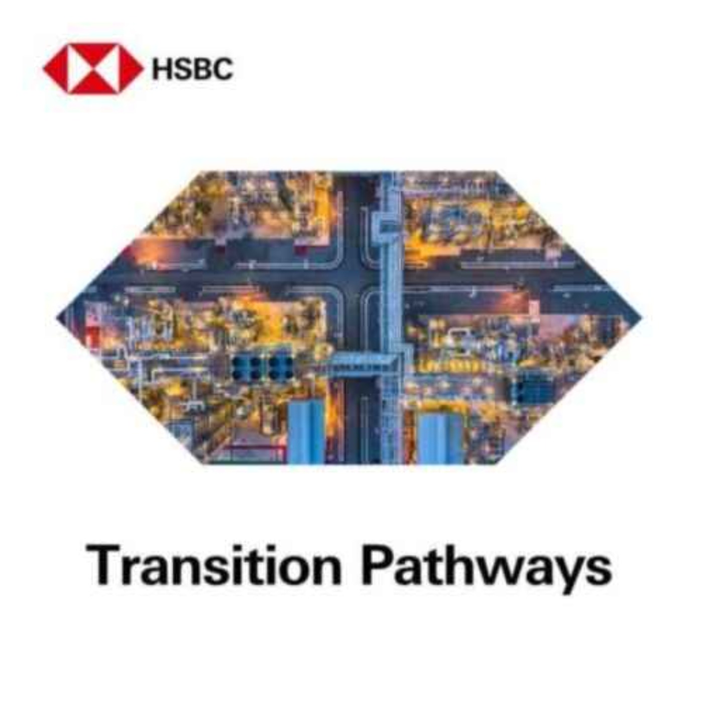 cover art for HSBC Transition Pathways: Unlocking the energy pathway - Talk Business