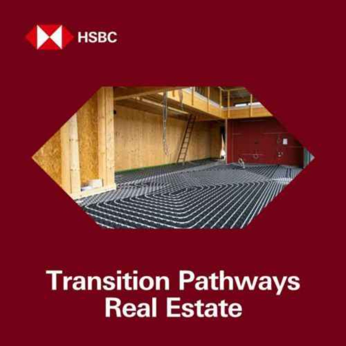 cover art for HSBC Transition Pathways: Opportunities and challenges of retrofitting in Real Estate
