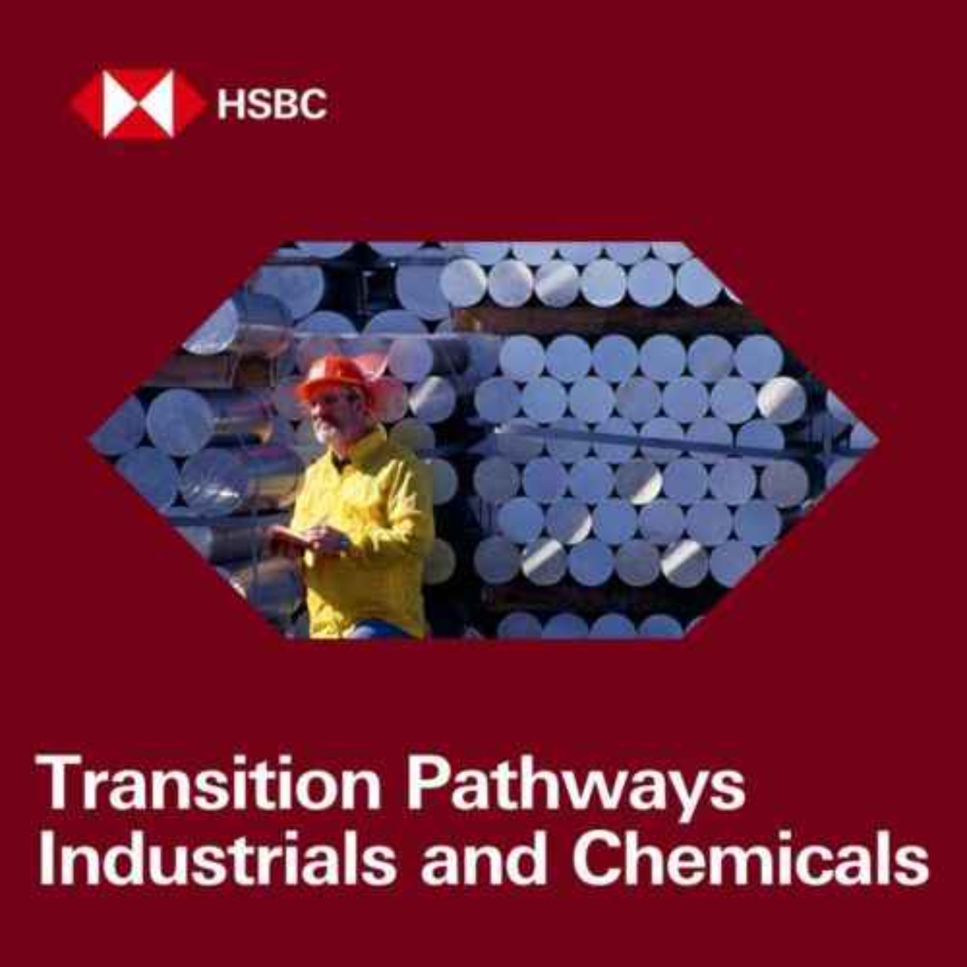 cover art for HSBC Transition Pathways: From supply gaps to opportunities in the materials industry