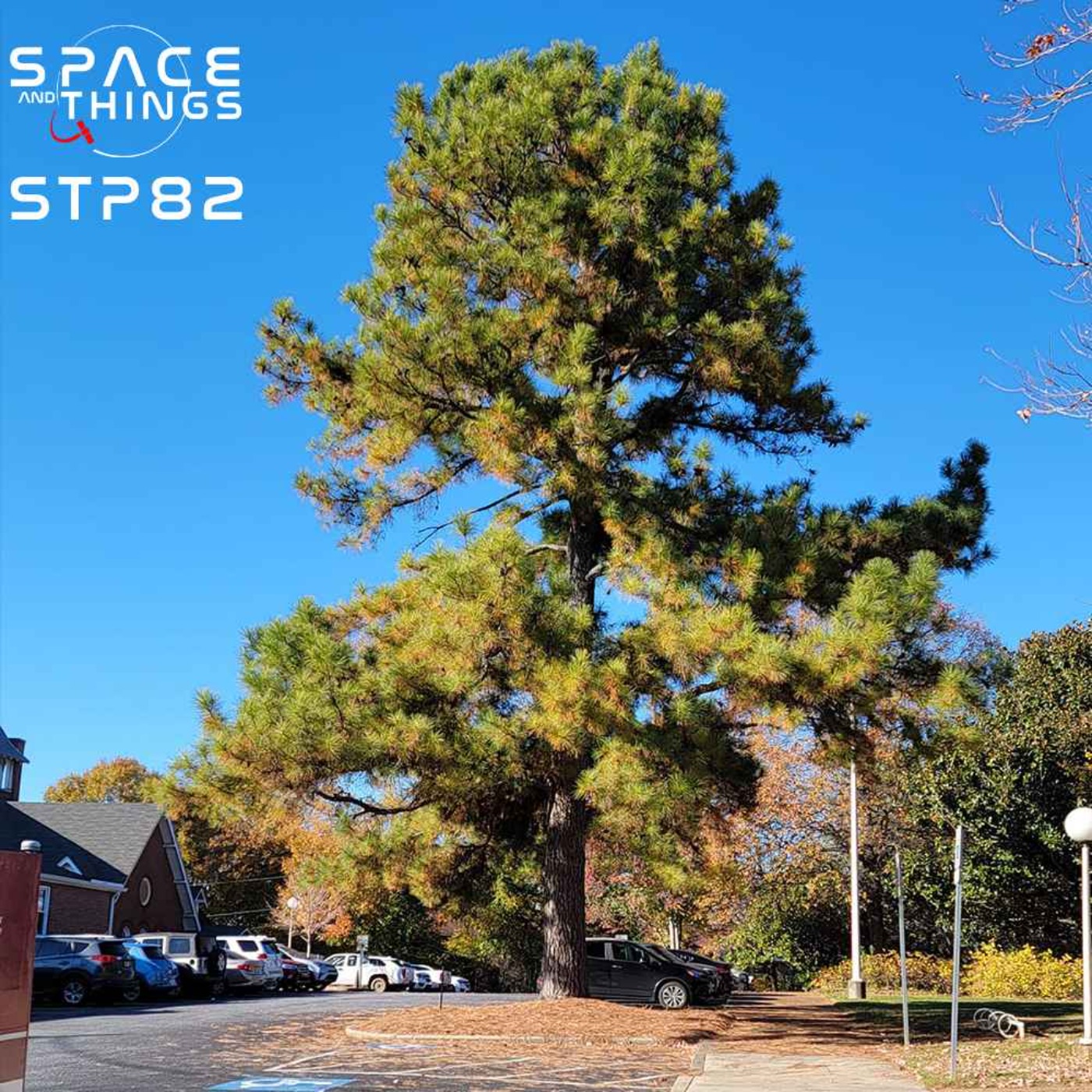 STP82 - Moon Trees - With Rosemary Roosa - In Memory of George Fatolitis