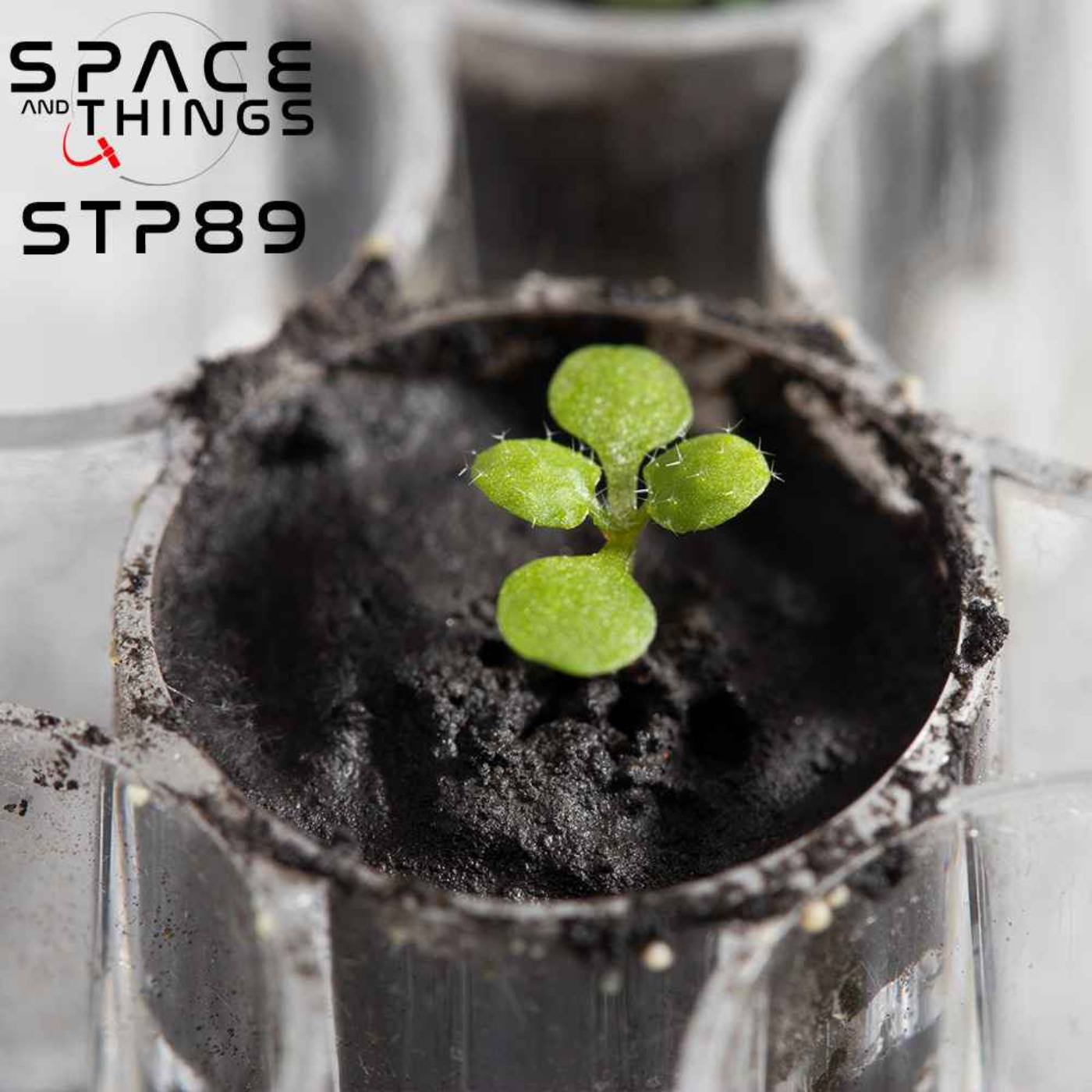 Space and Things