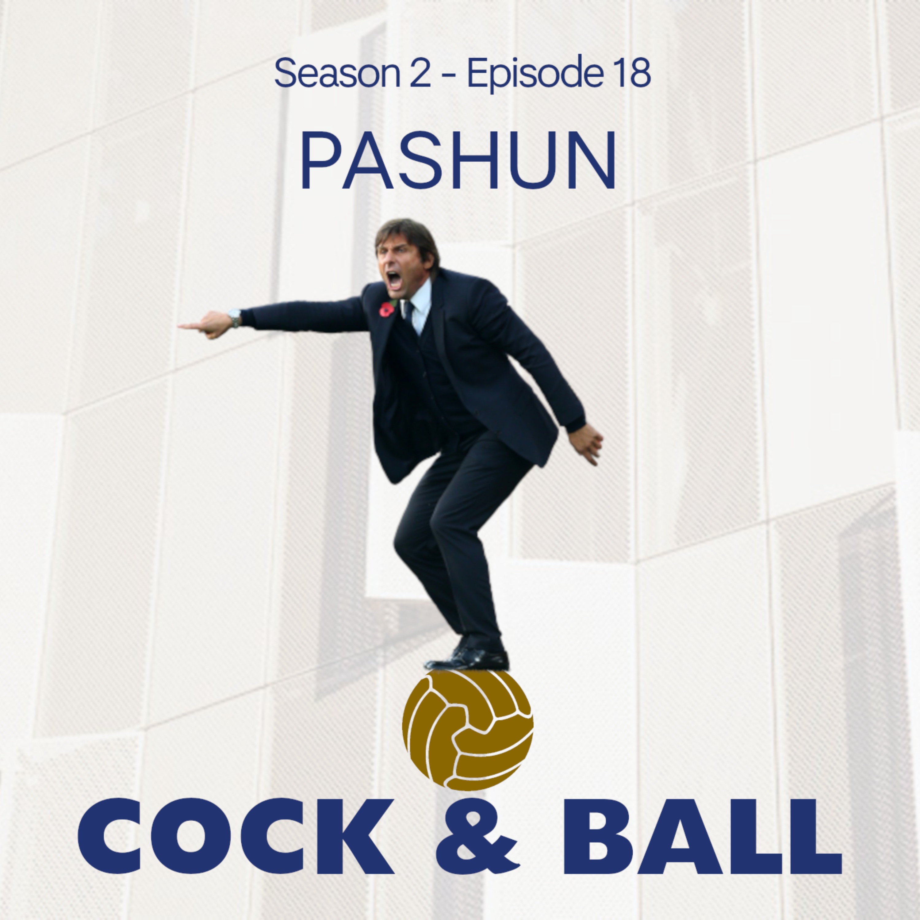 cover art for PASHUN