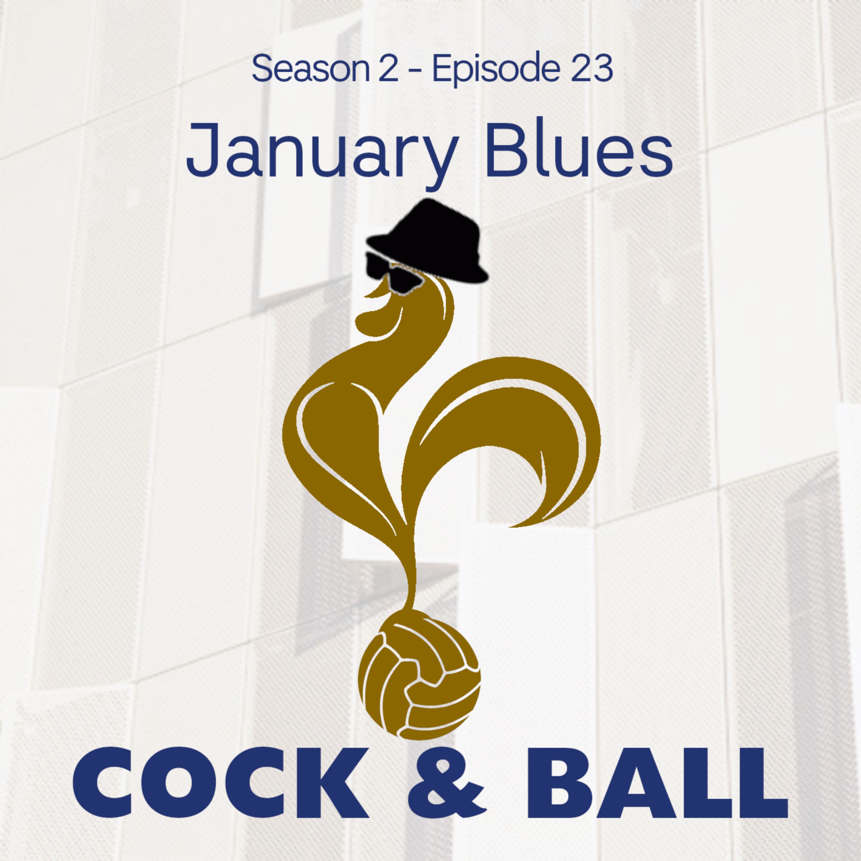 cover art for January Blues
