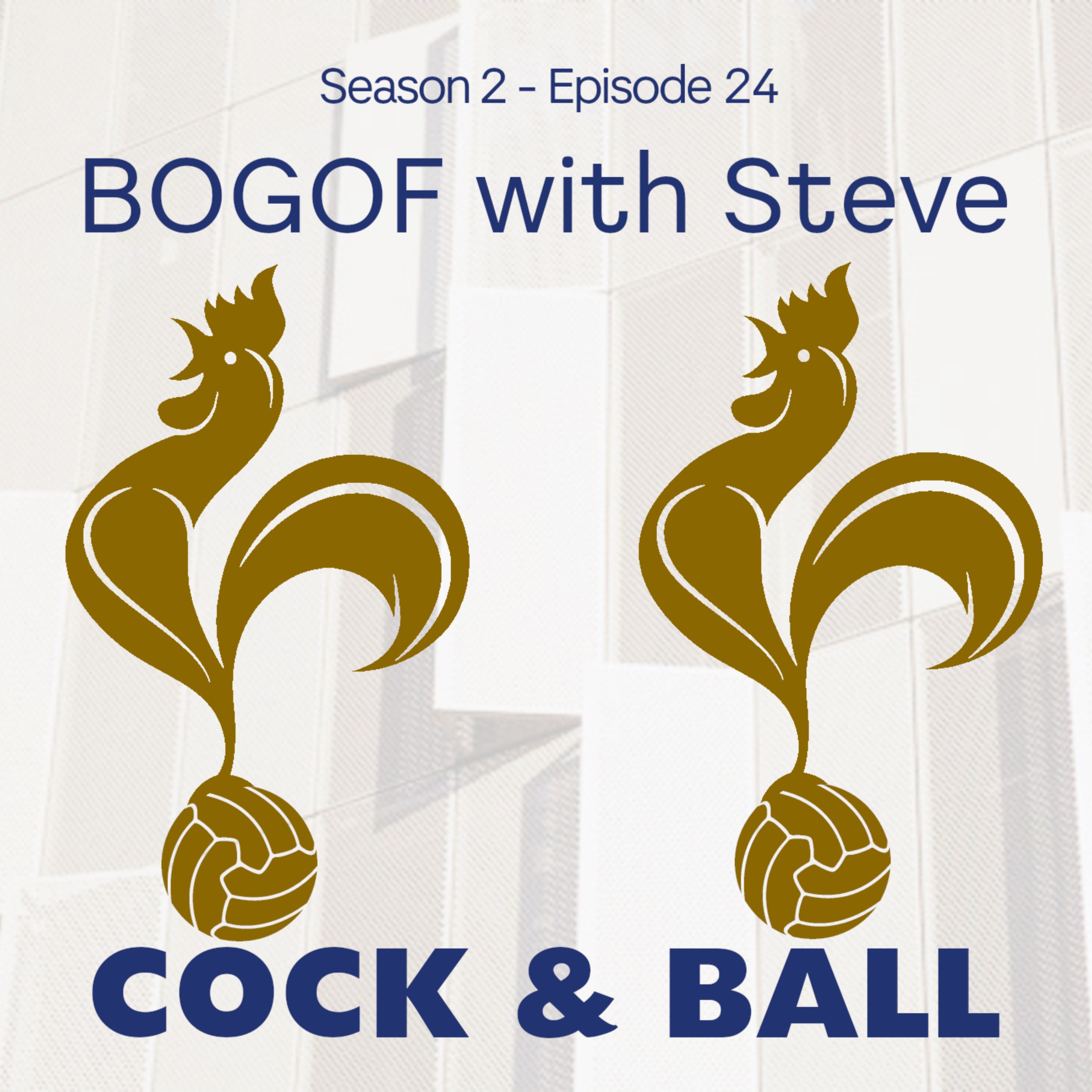 cover art for BOGOF with Steve