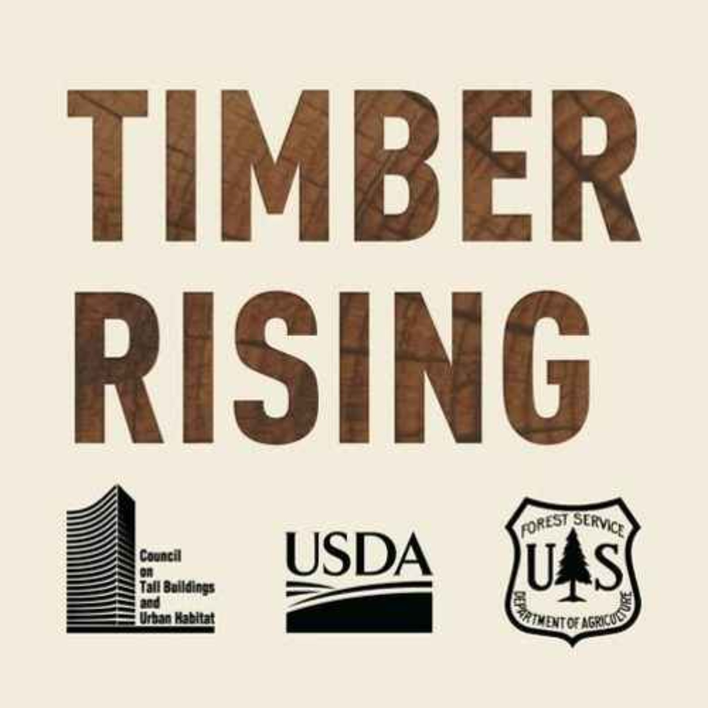 Carsten Hein: Mass Timber Fundamentals (1)