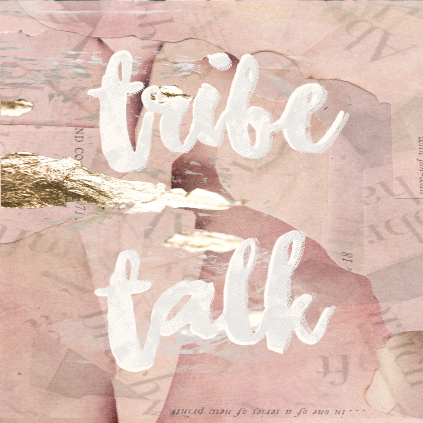 cover art for 049 TRIBE TALK - All About the Music with Kush Khanna!