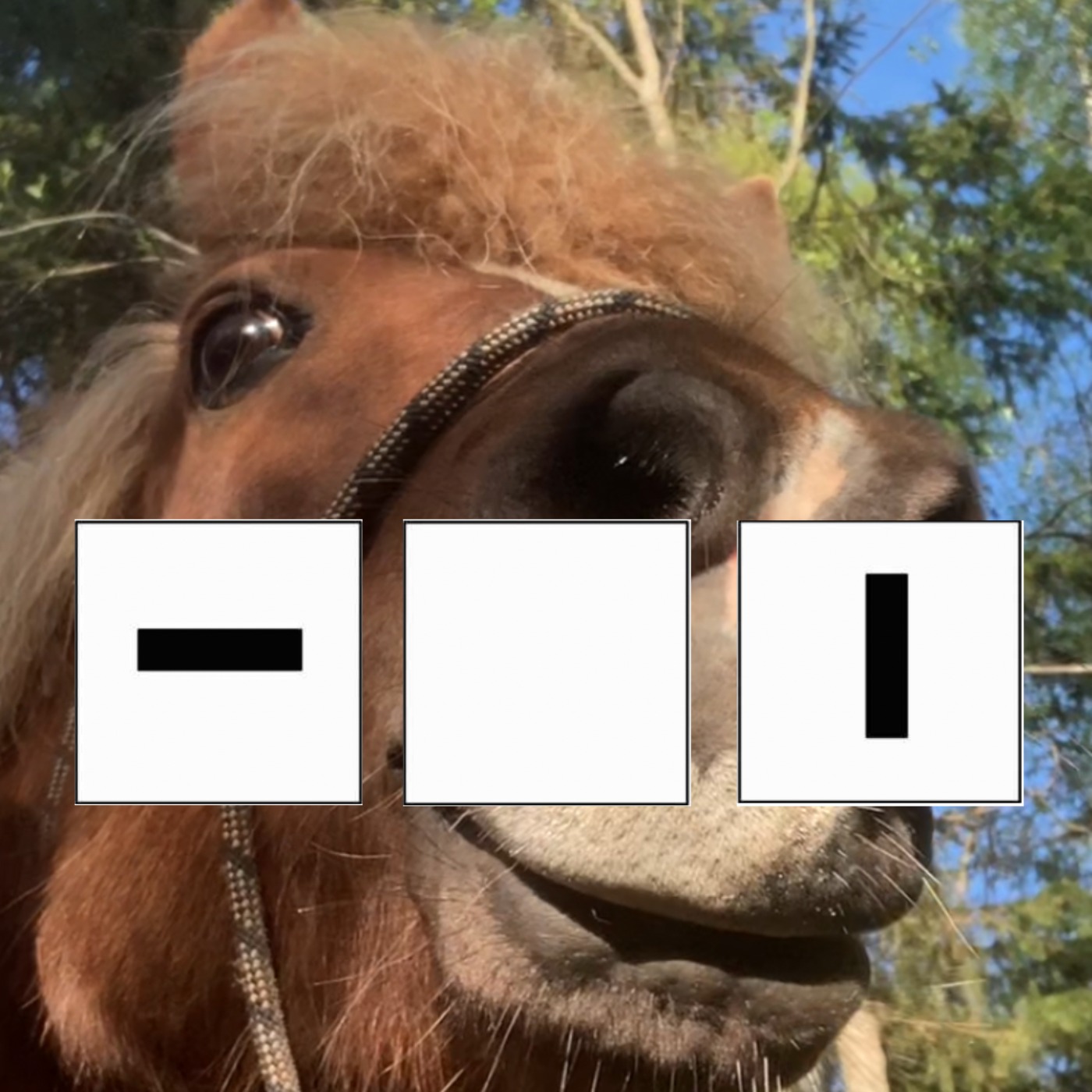 HESTENES KLAN