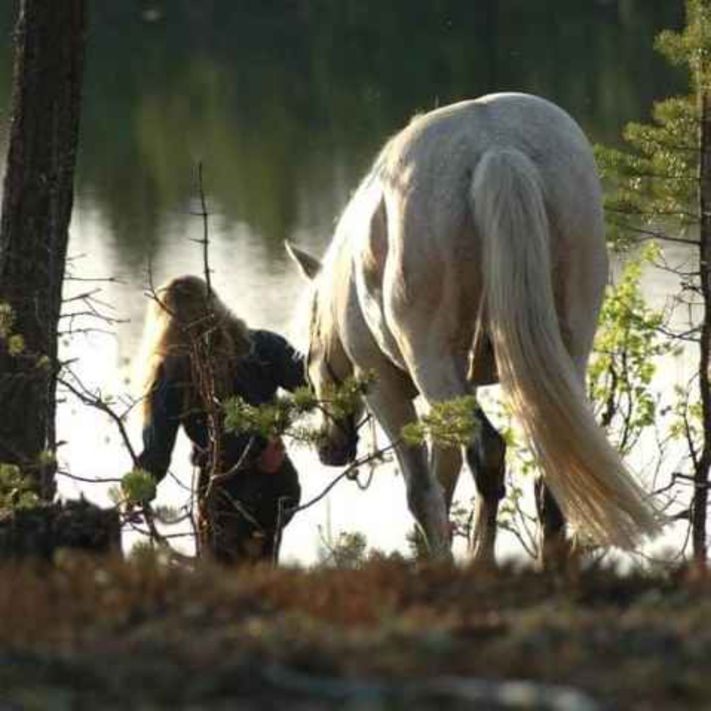 60 - Meet Leslie Desmond