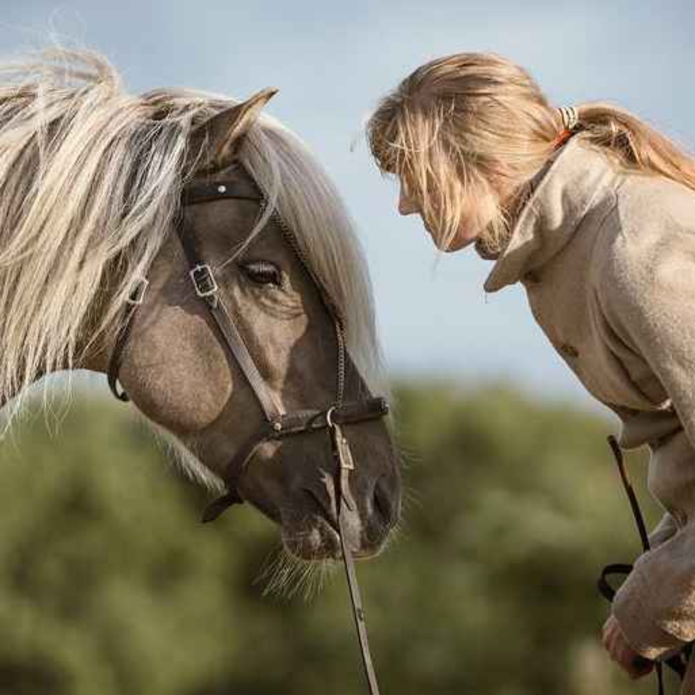 cover art for 130 - Hestekvinner snakker om hest II