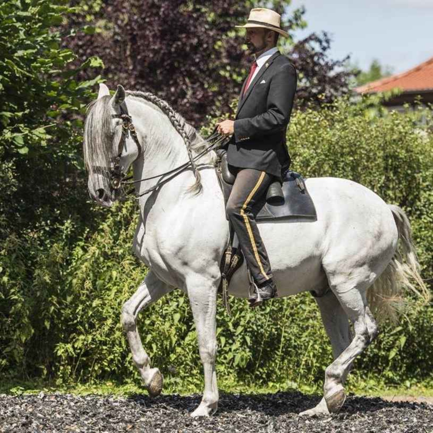 144 - It's all about connection